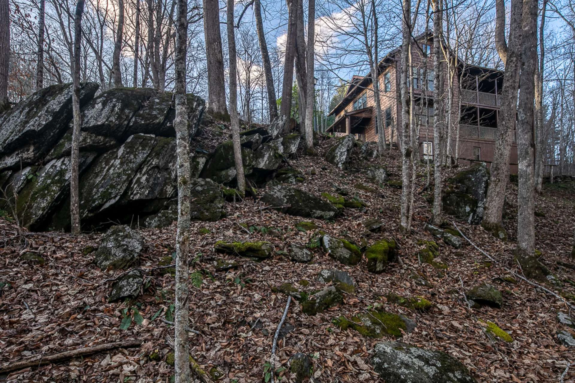 Image number 9 for the current listing