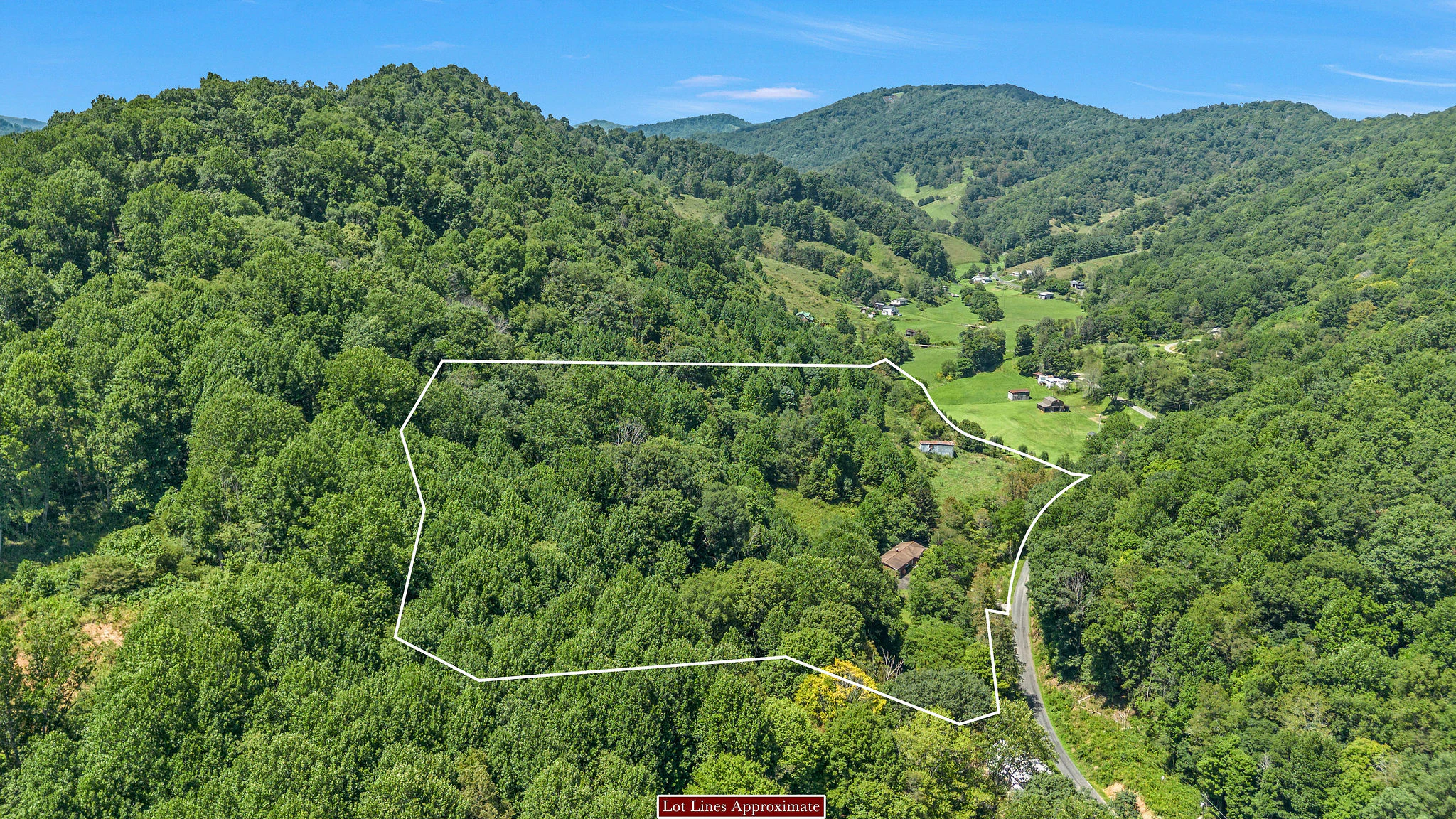 Image number 4 for the current listing