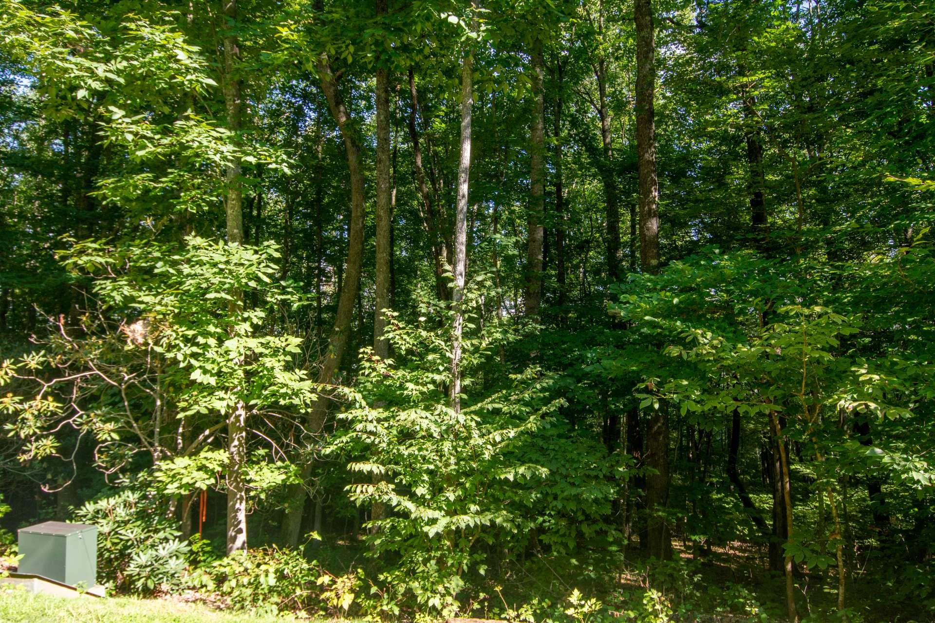 Image number 2 for the current listing