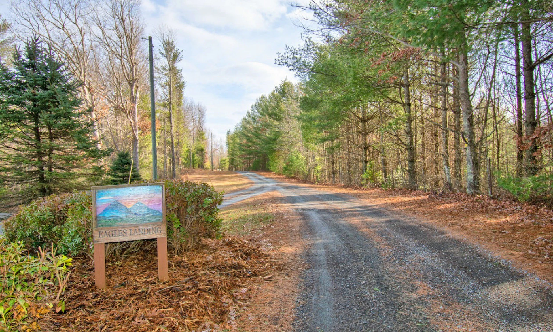 Image number 1 for the current listing