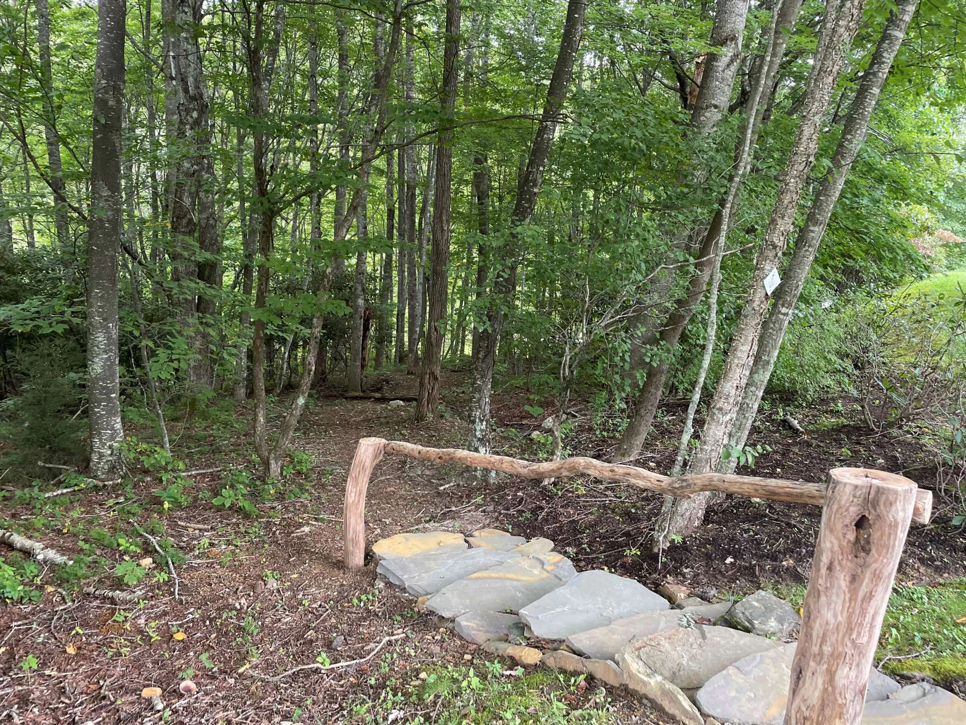 Image number 11 for the current listing