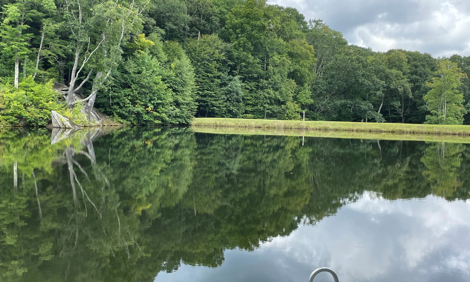 Image number 1 for the current listing