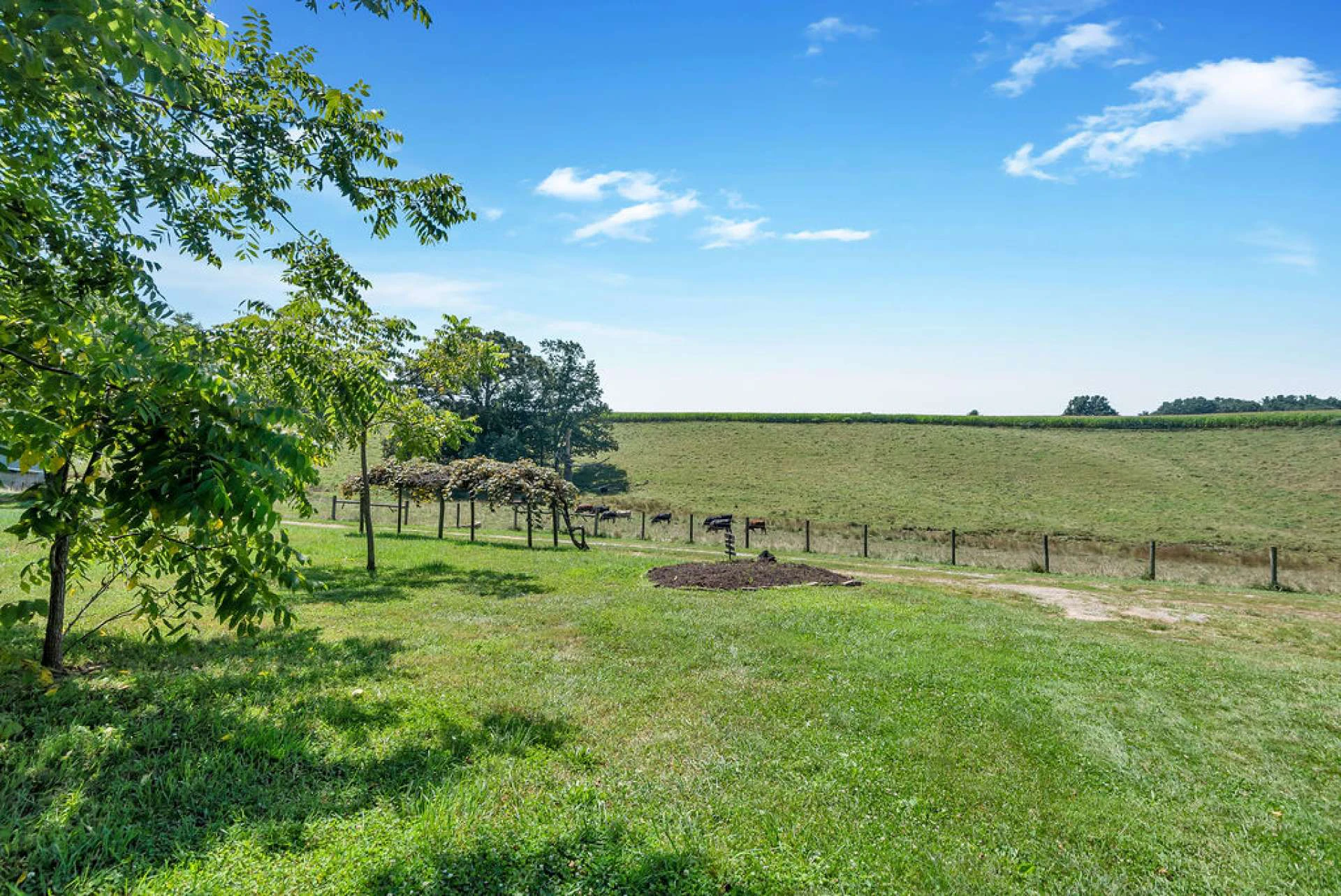 Image number 19 for the current listing