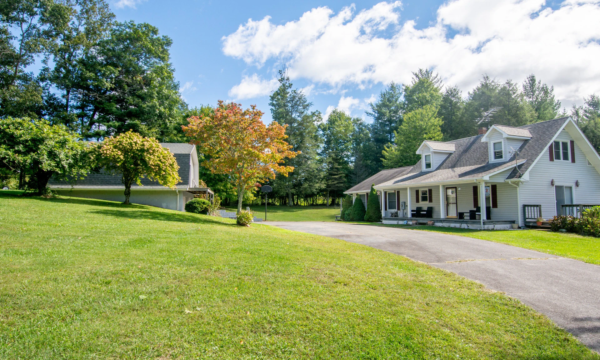 Image number 1 for the current listing