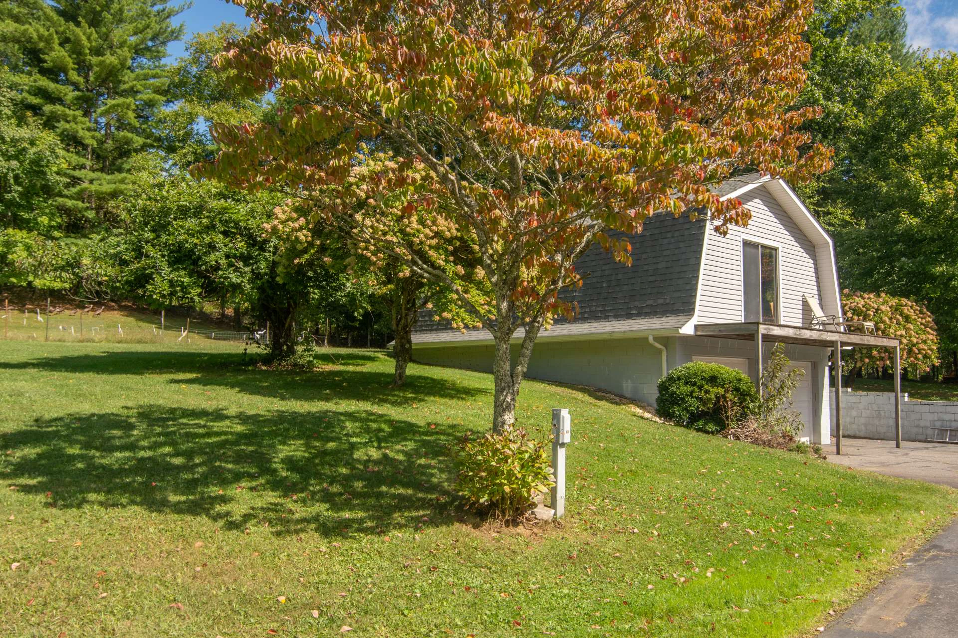 Image number 4 for the current listing