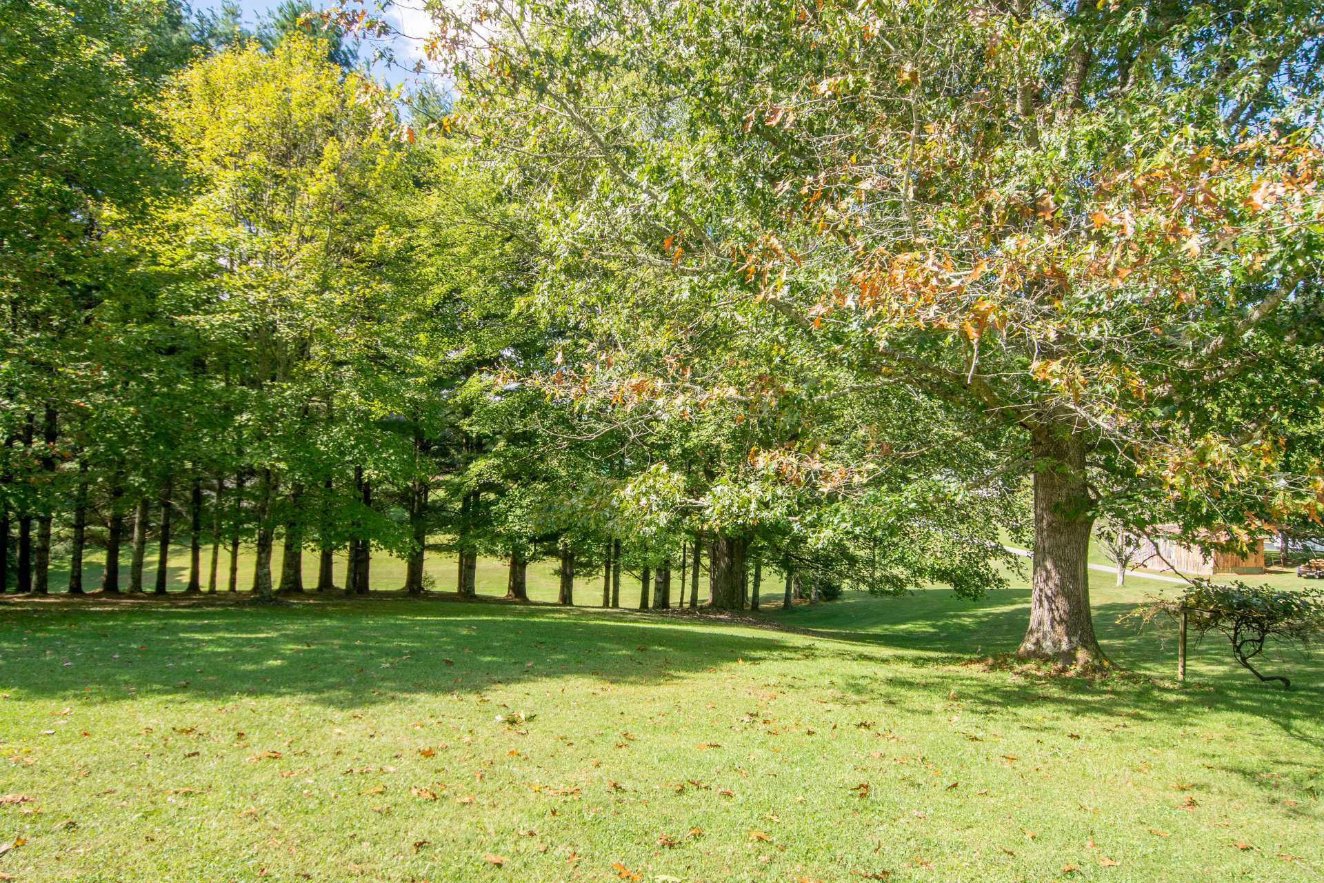 Image number 20 for the current listing