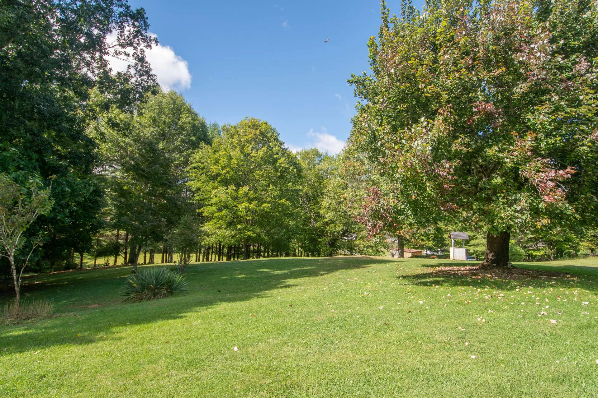 Image number 19 for the current listing