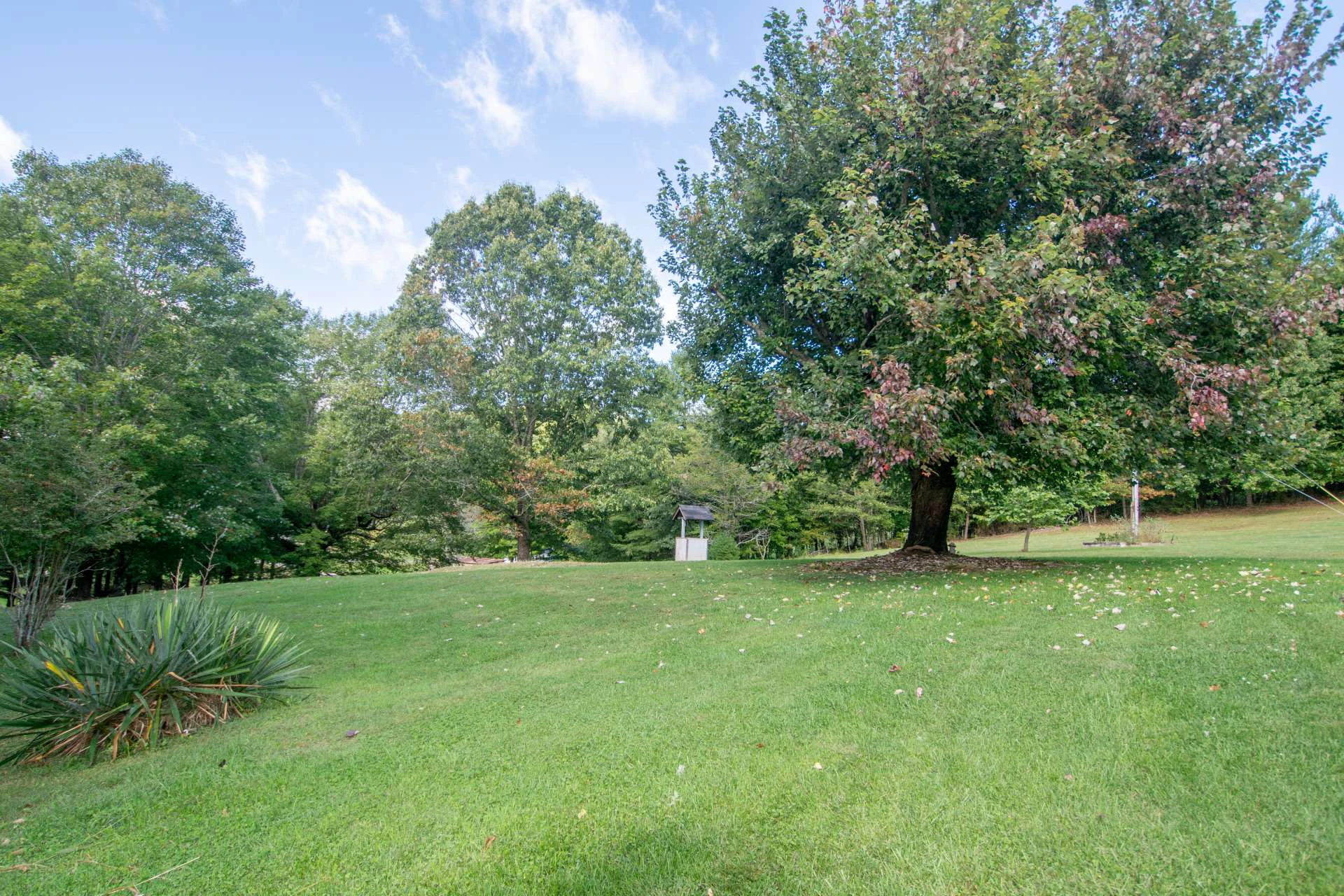 Image number 18 for the current listing