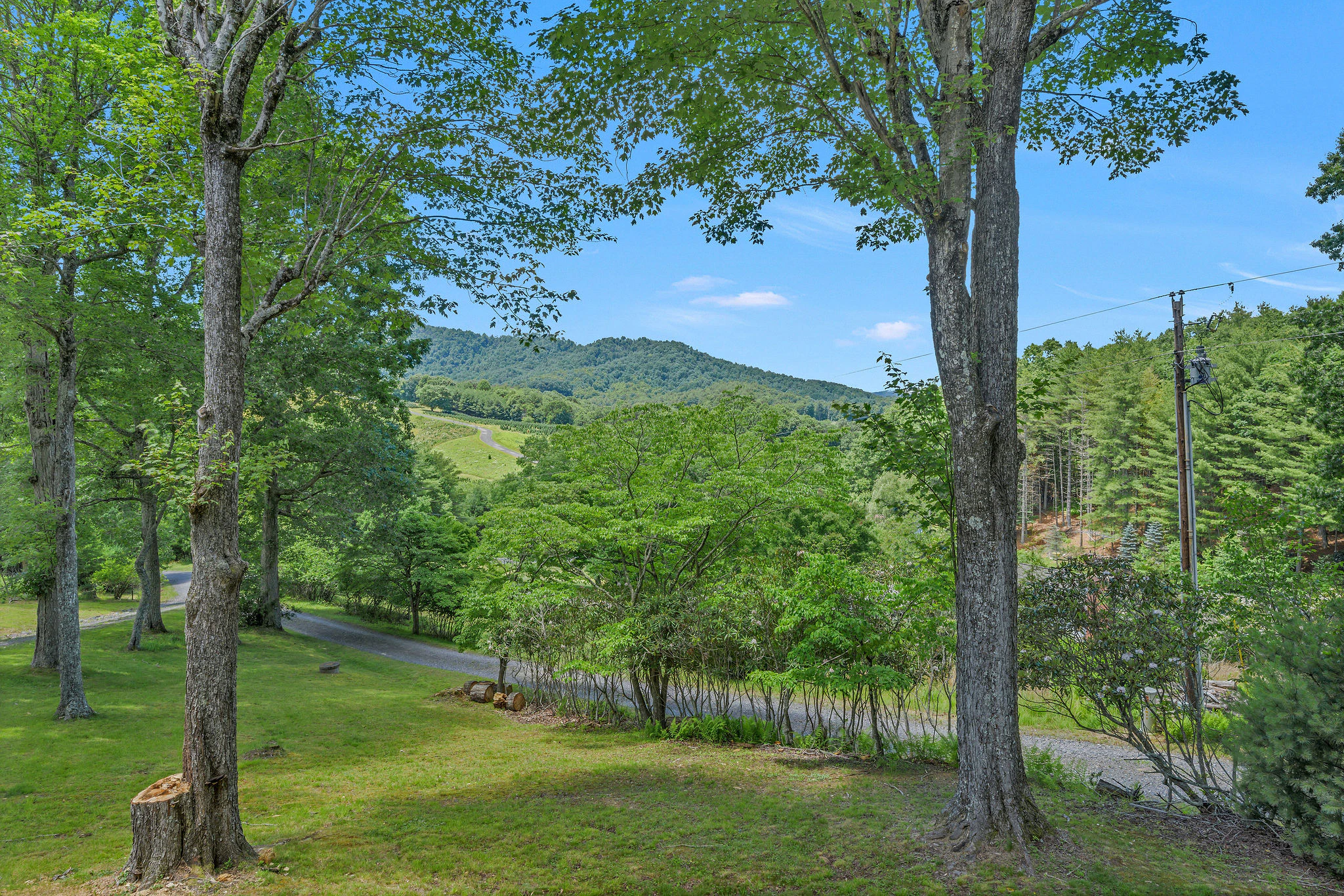 Image number 9 for the current listing
