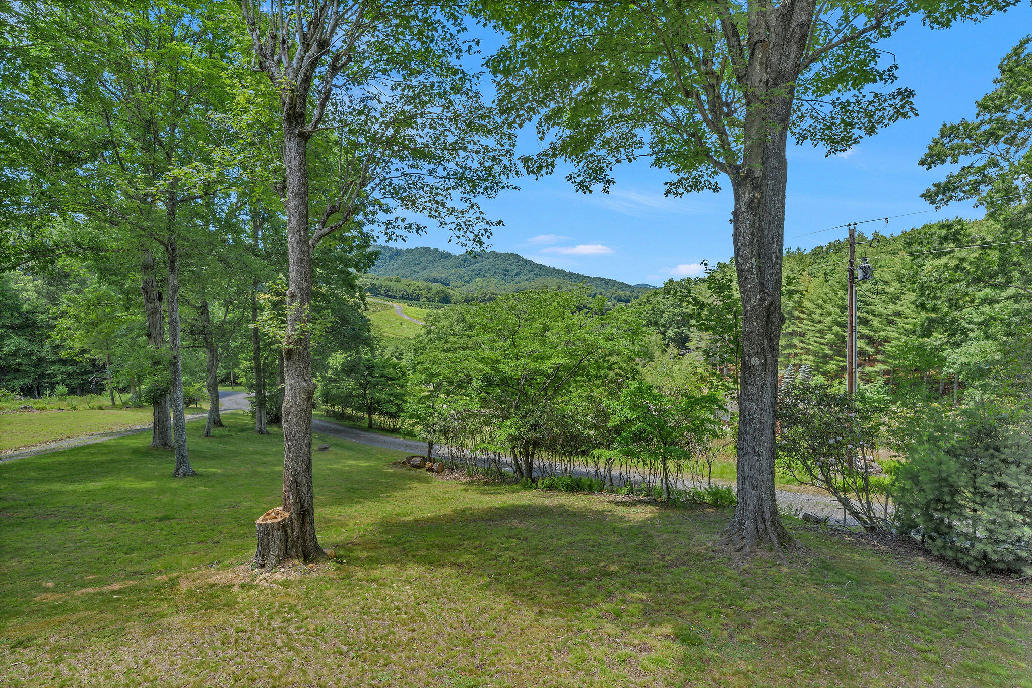 Image number 10 for the current listing