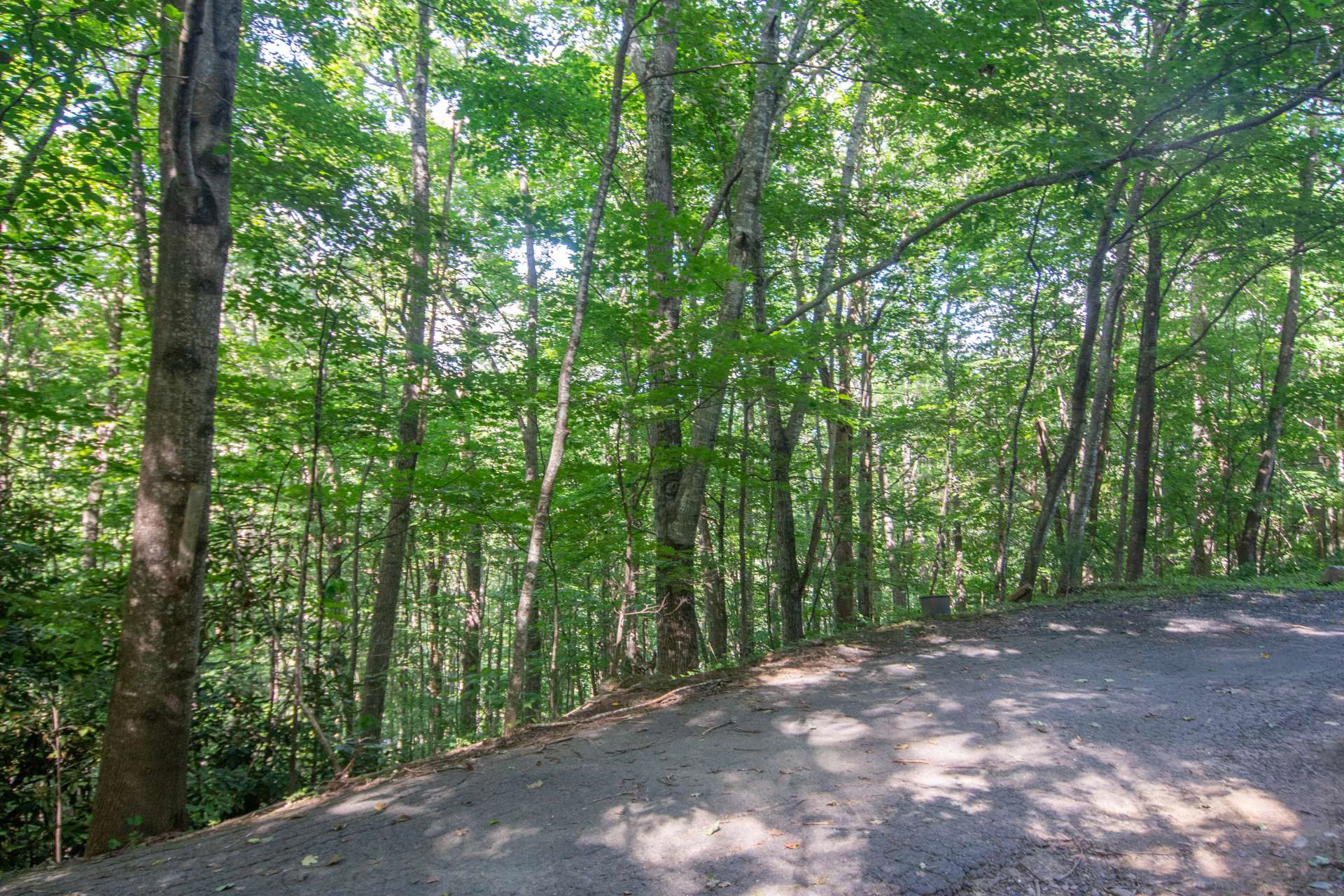 Image number 2 for the current listing