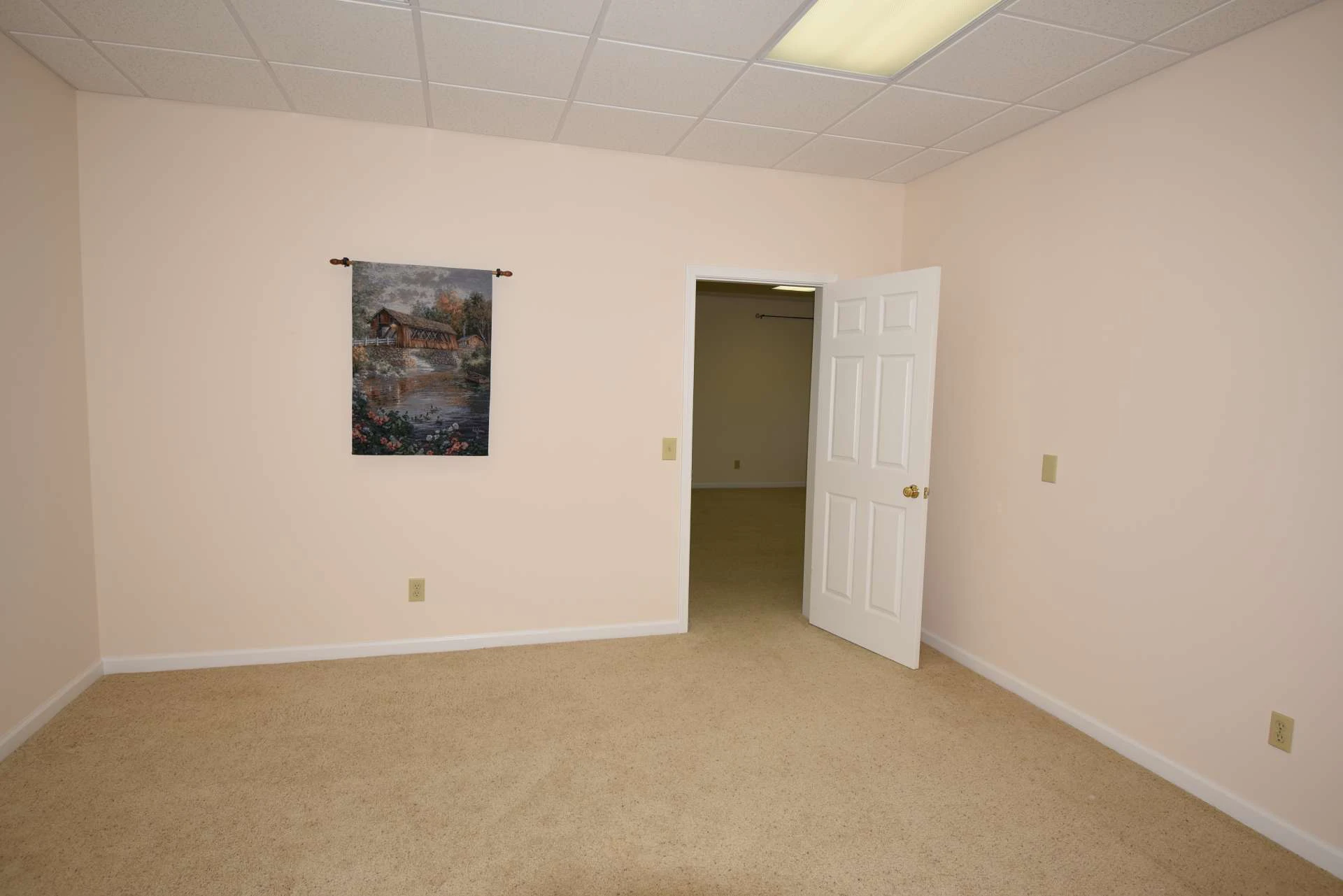 Image number 5 for the current listing