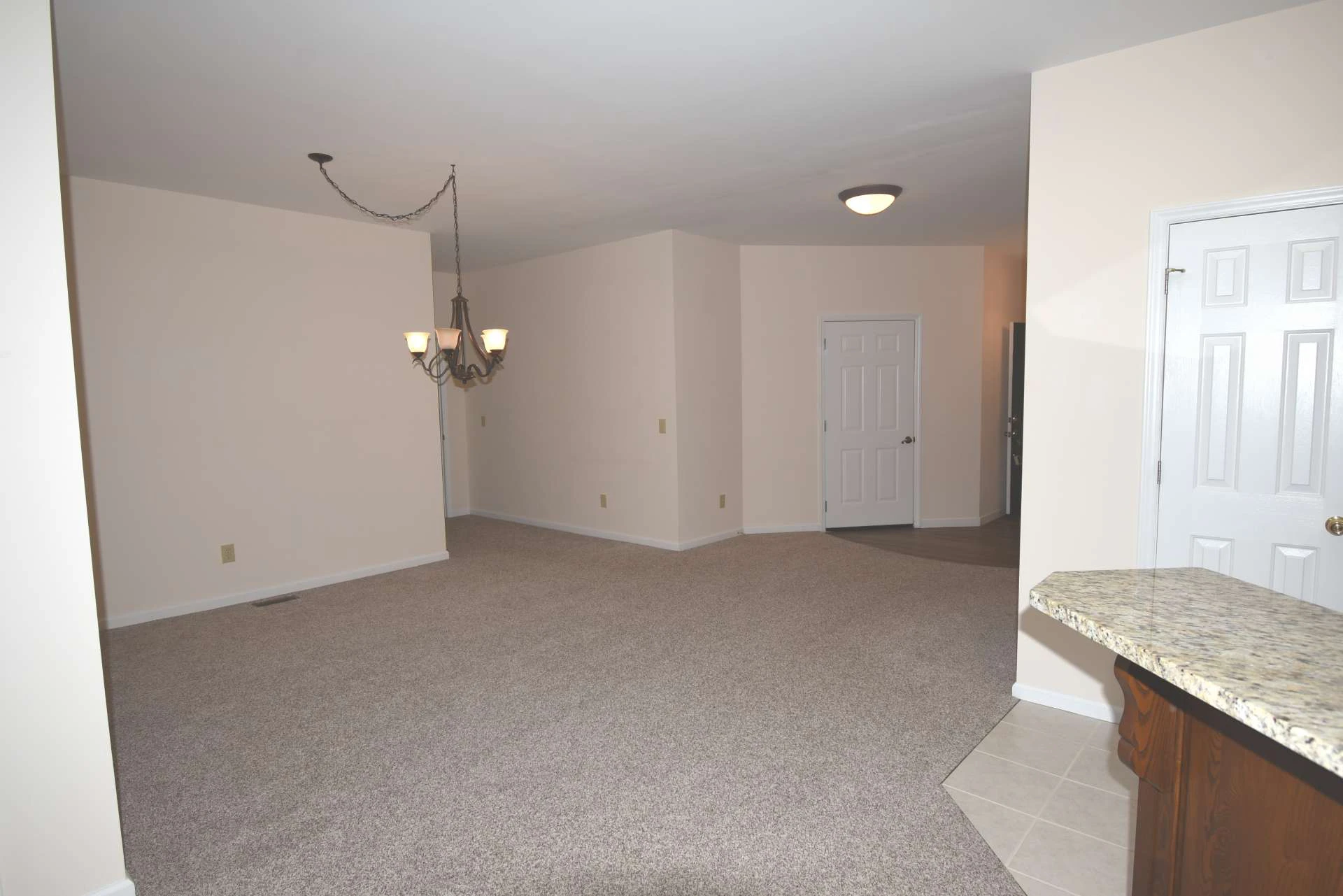 Image number 12 for the current listing