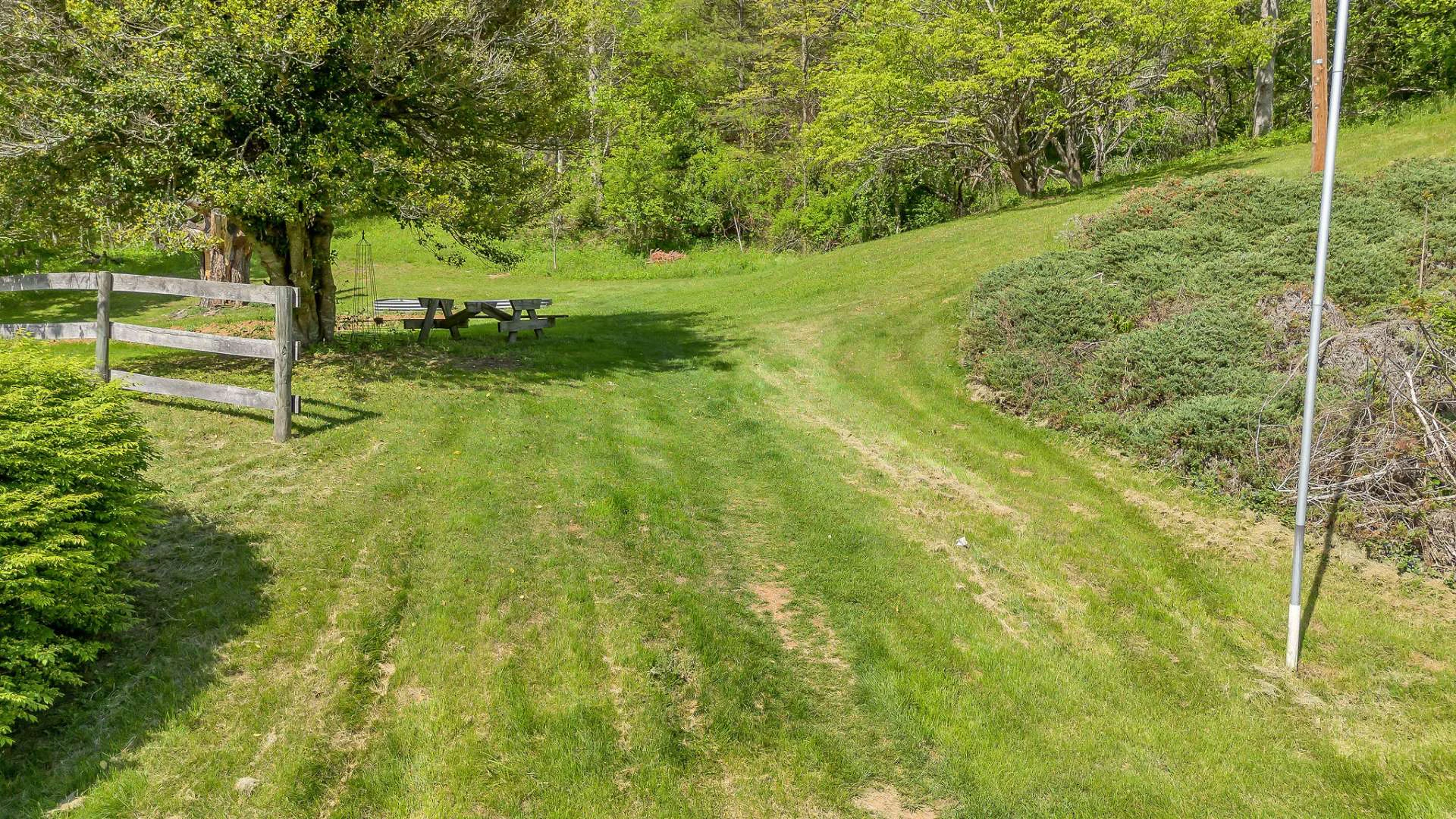 Image number 12 for the current listing