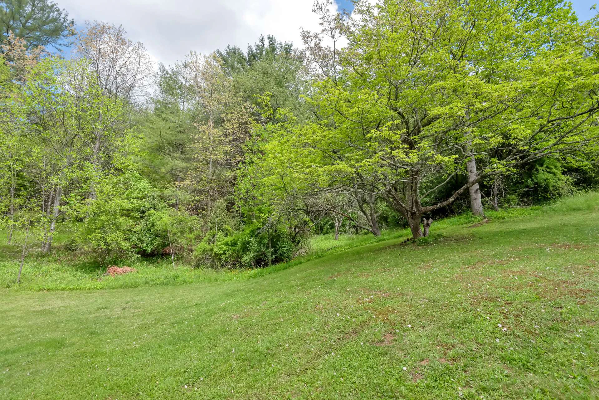 Image number 7 for the current listing