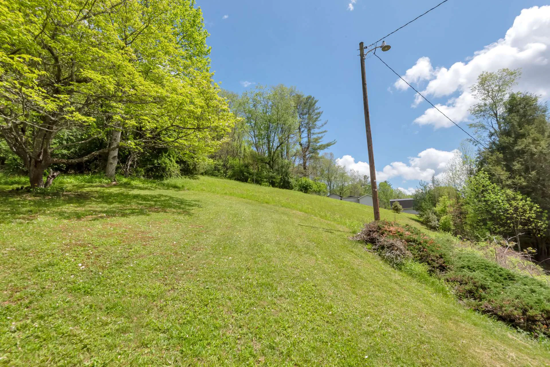 Image number 2 for the current listing