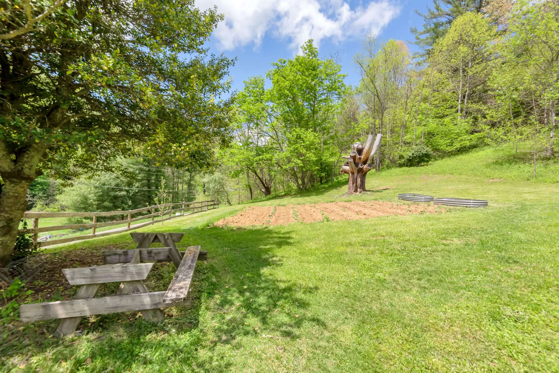 Image number 11 for the current listing