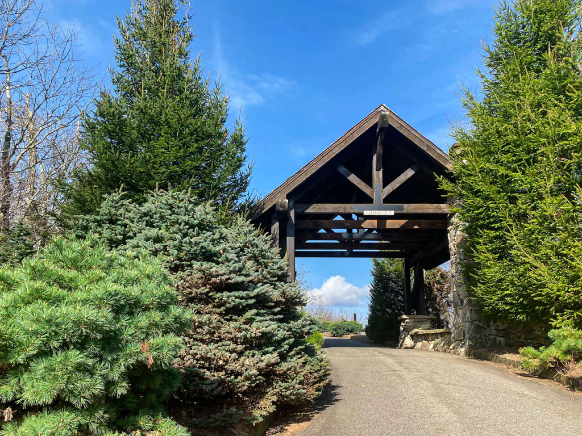 Image number 12 for the current listing