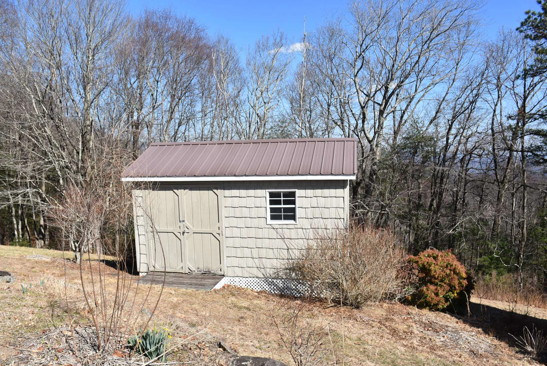 Image number 11 for the current listing