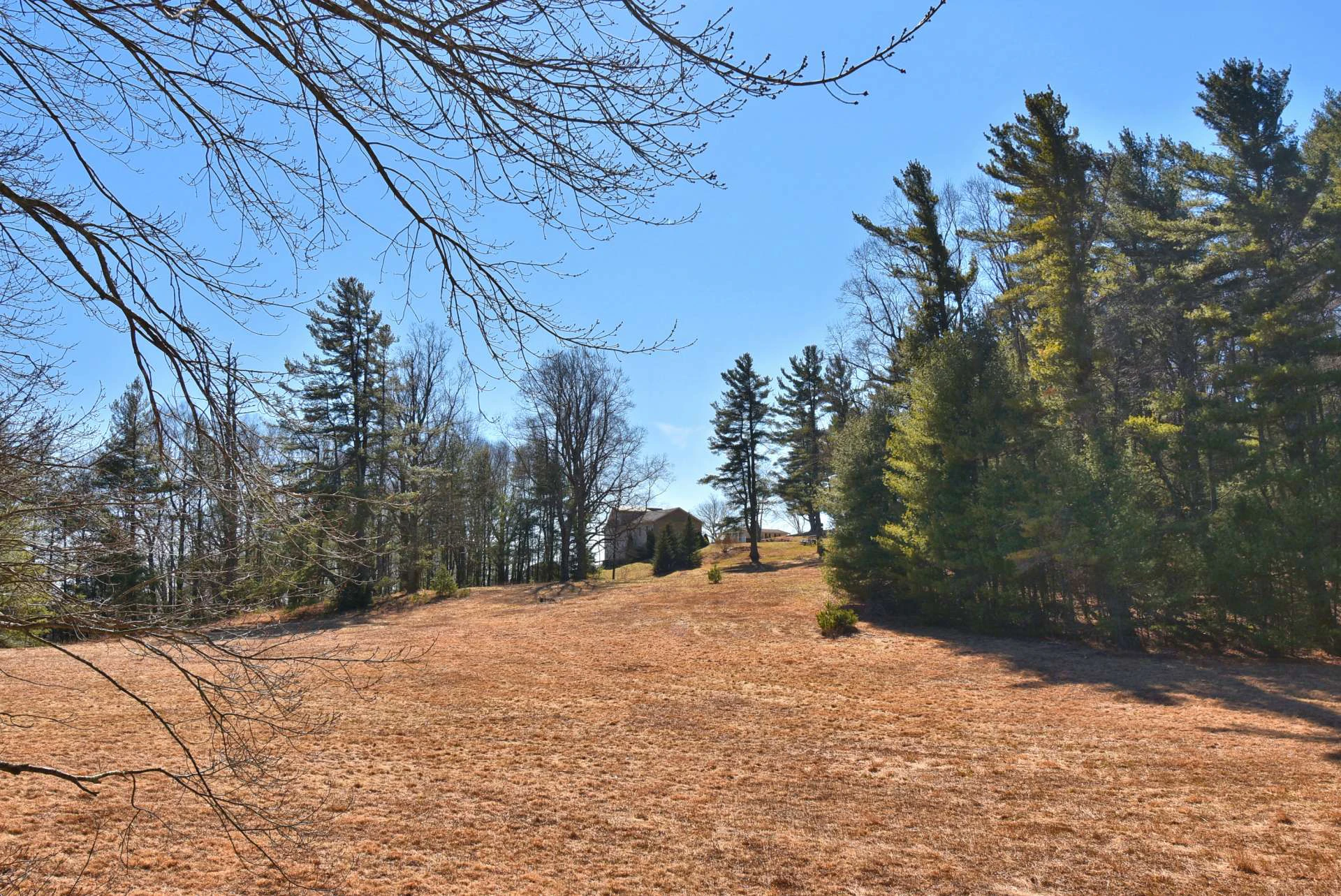 Image number 9 for the current listing