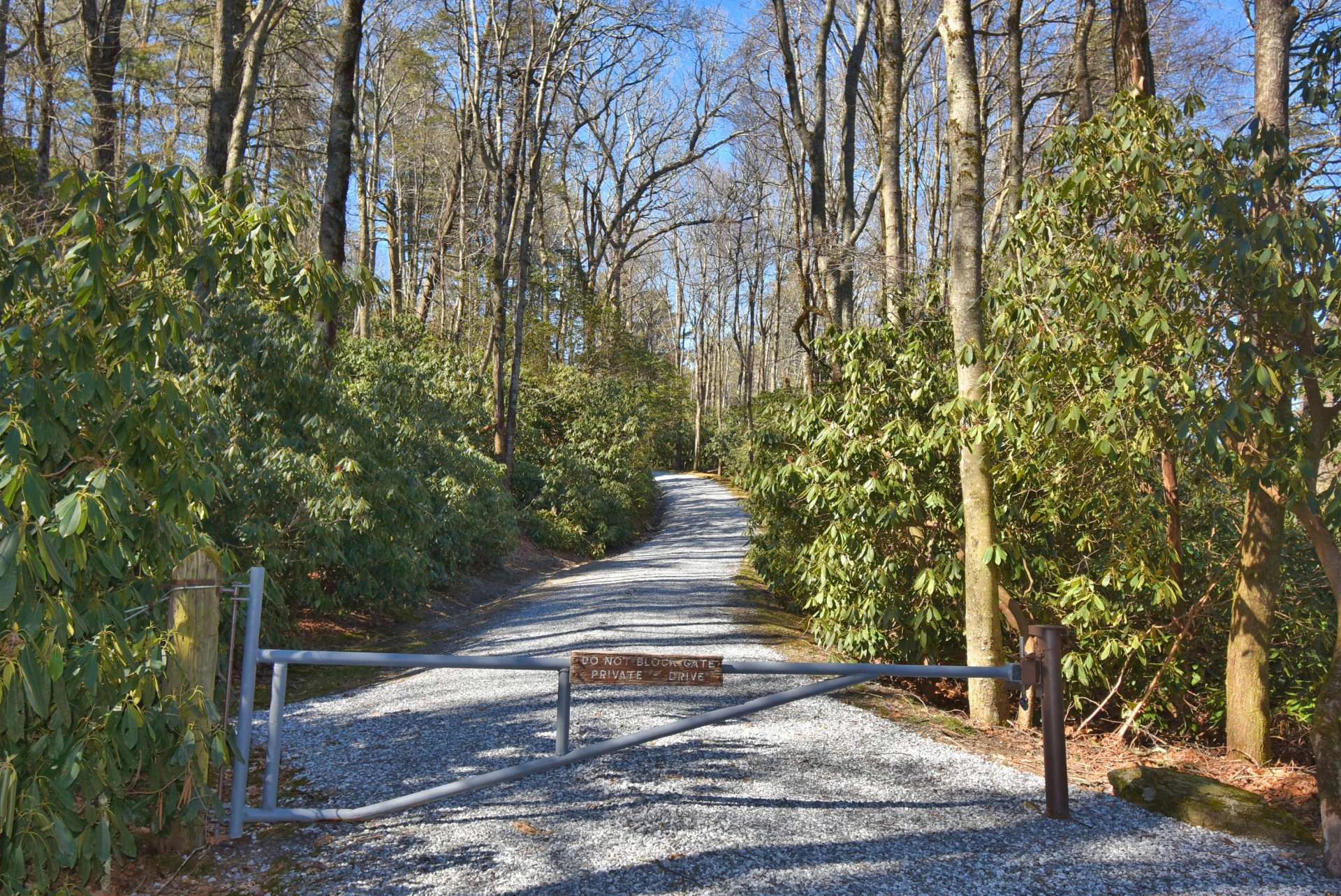 Image number 10 for the current listing
