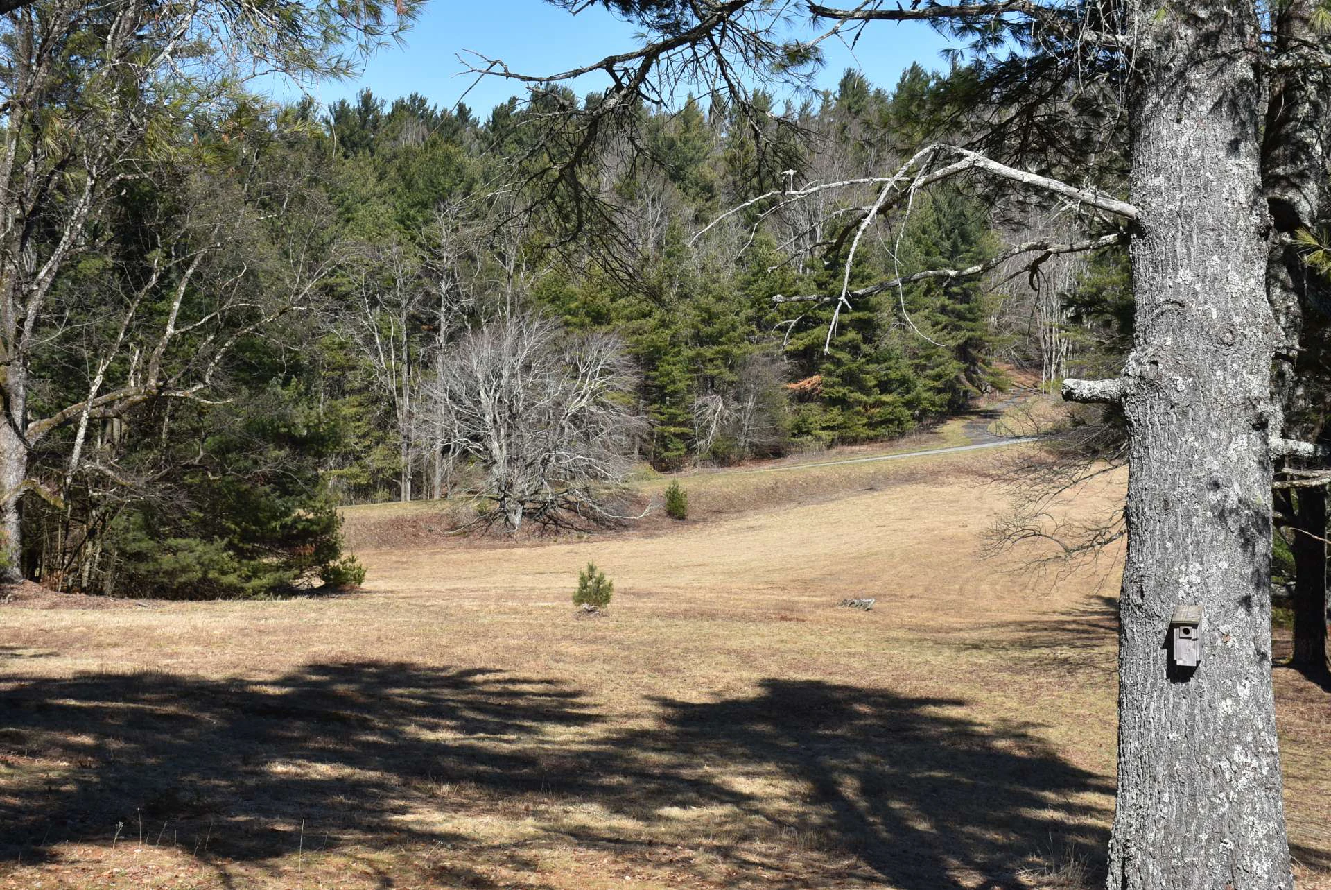 Image number 13 for the current listing
