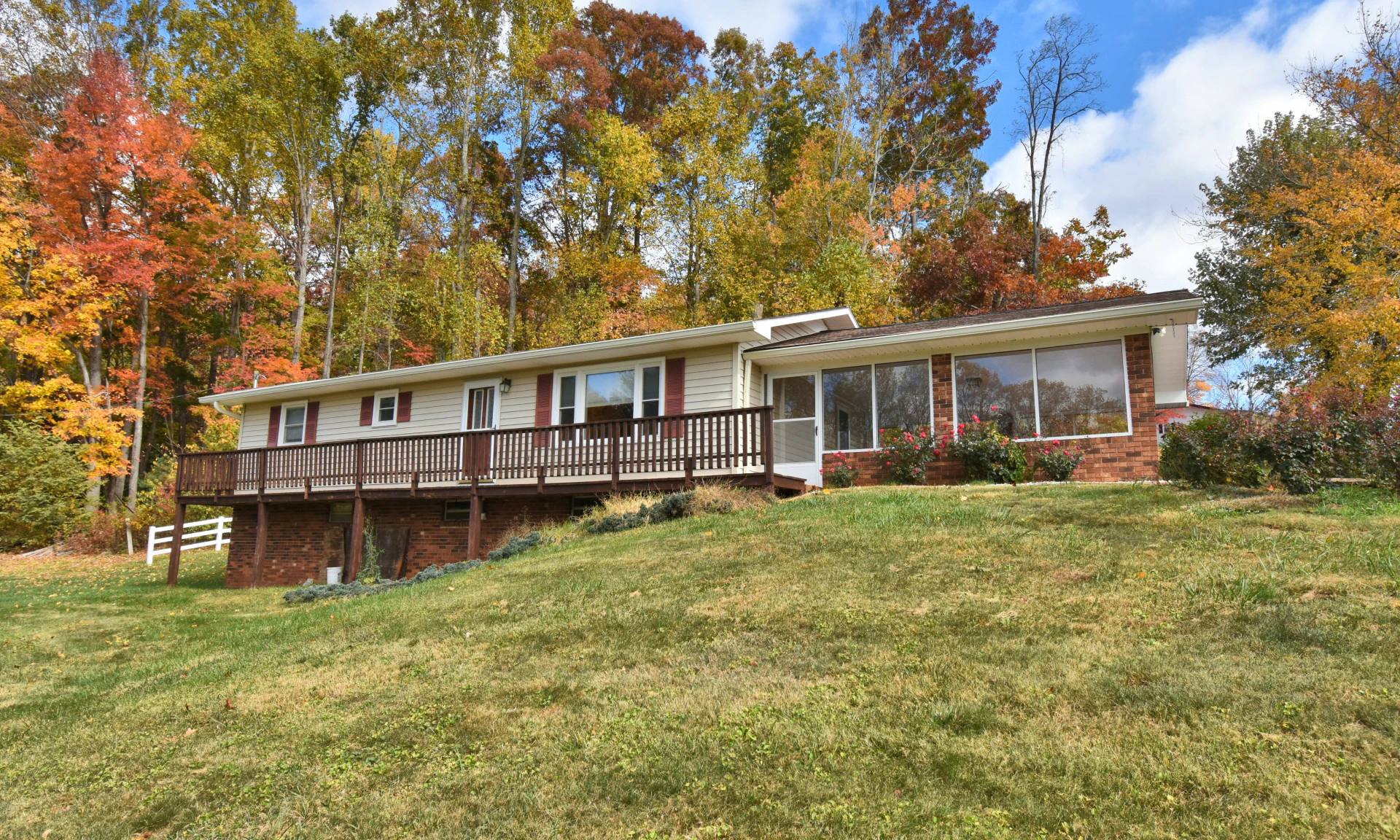 Image number 1 for the current listing