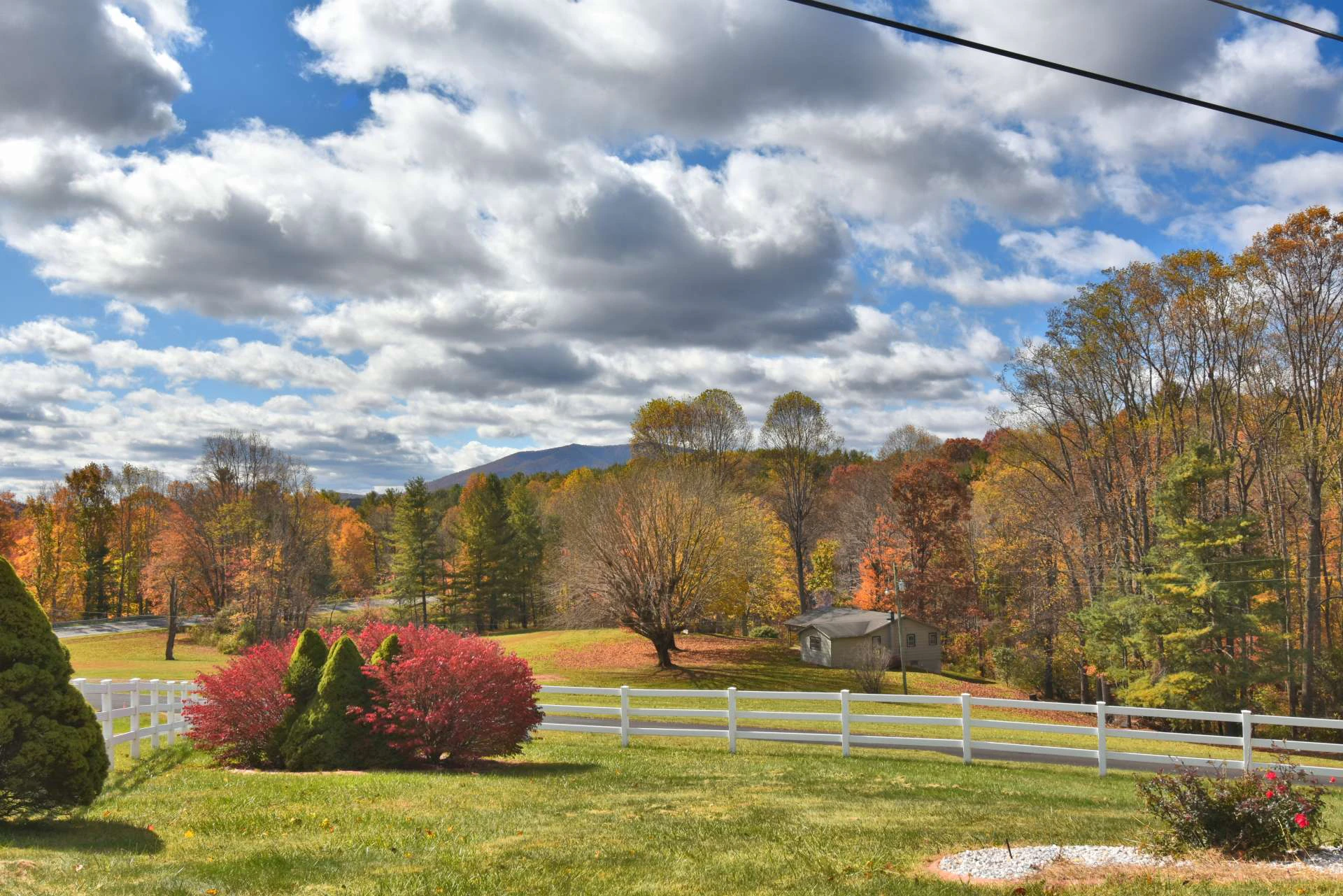 Image number 18 for the current listing