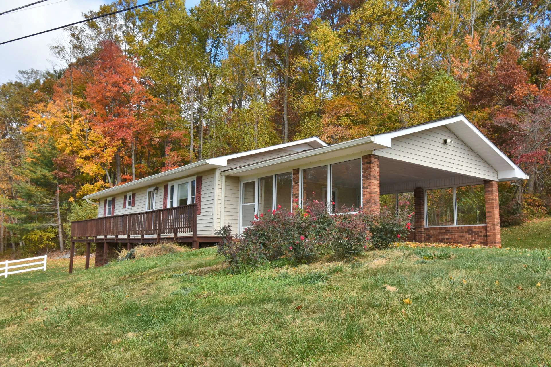 Image number 16 for the current listing