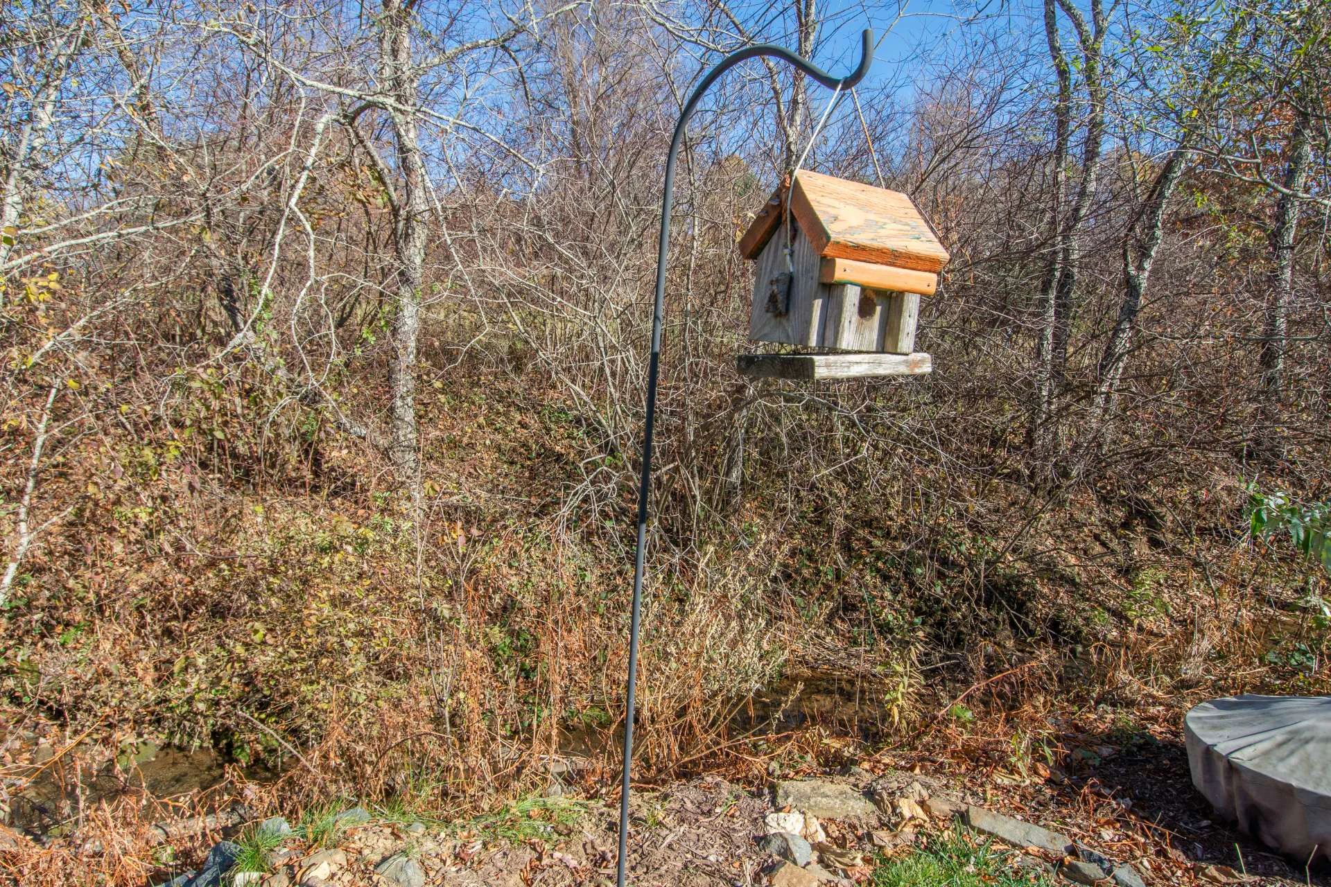 Image number 9 for the current listing