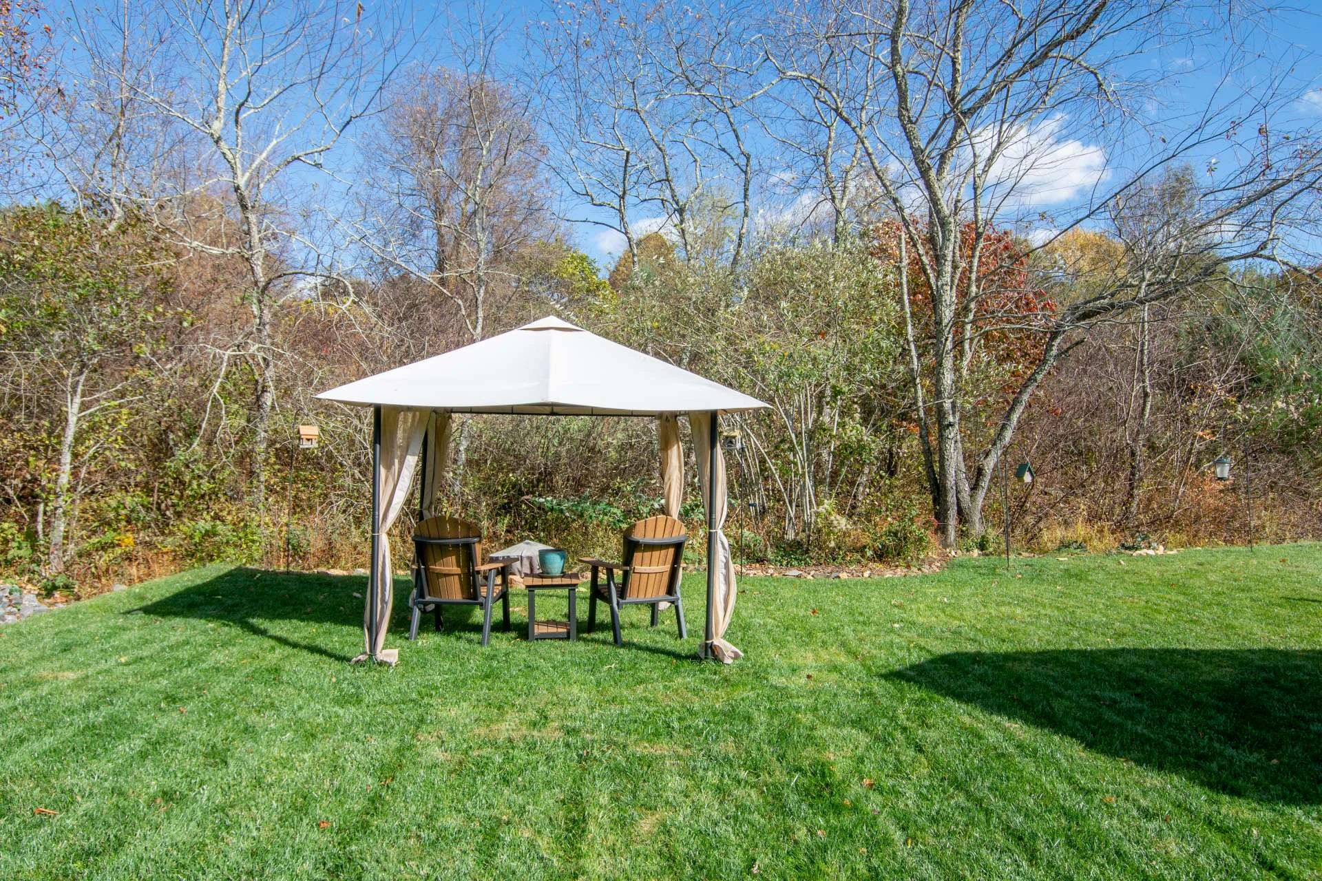 Image number 5 for the current listing