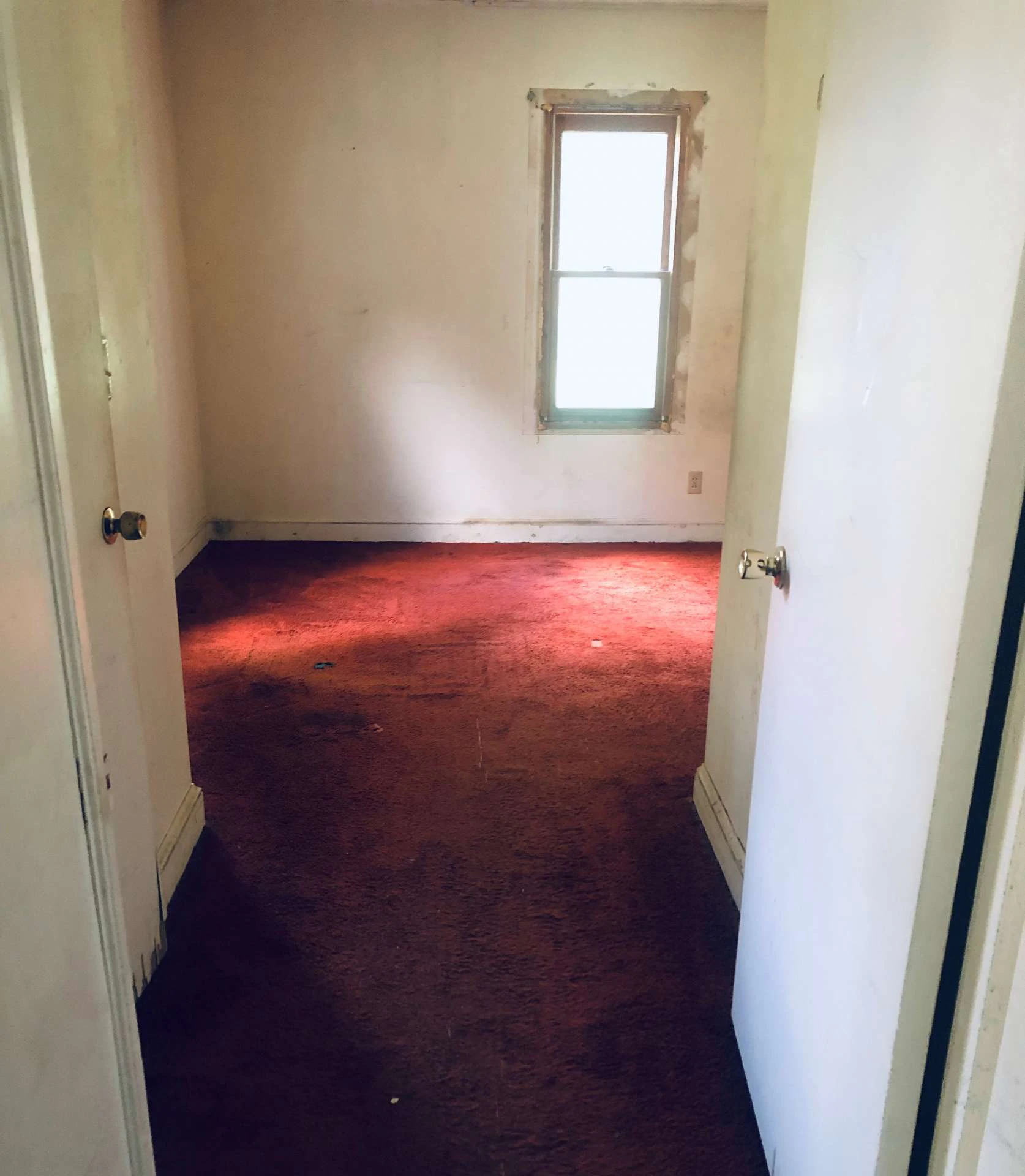 Image number 8 for the current listing