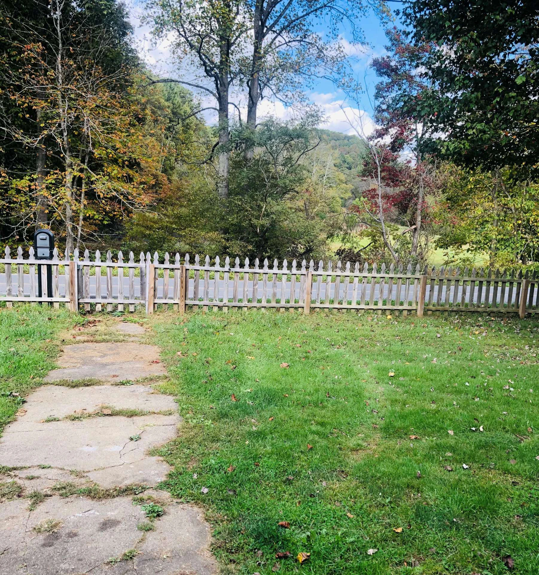 Image number 17 for the current listing