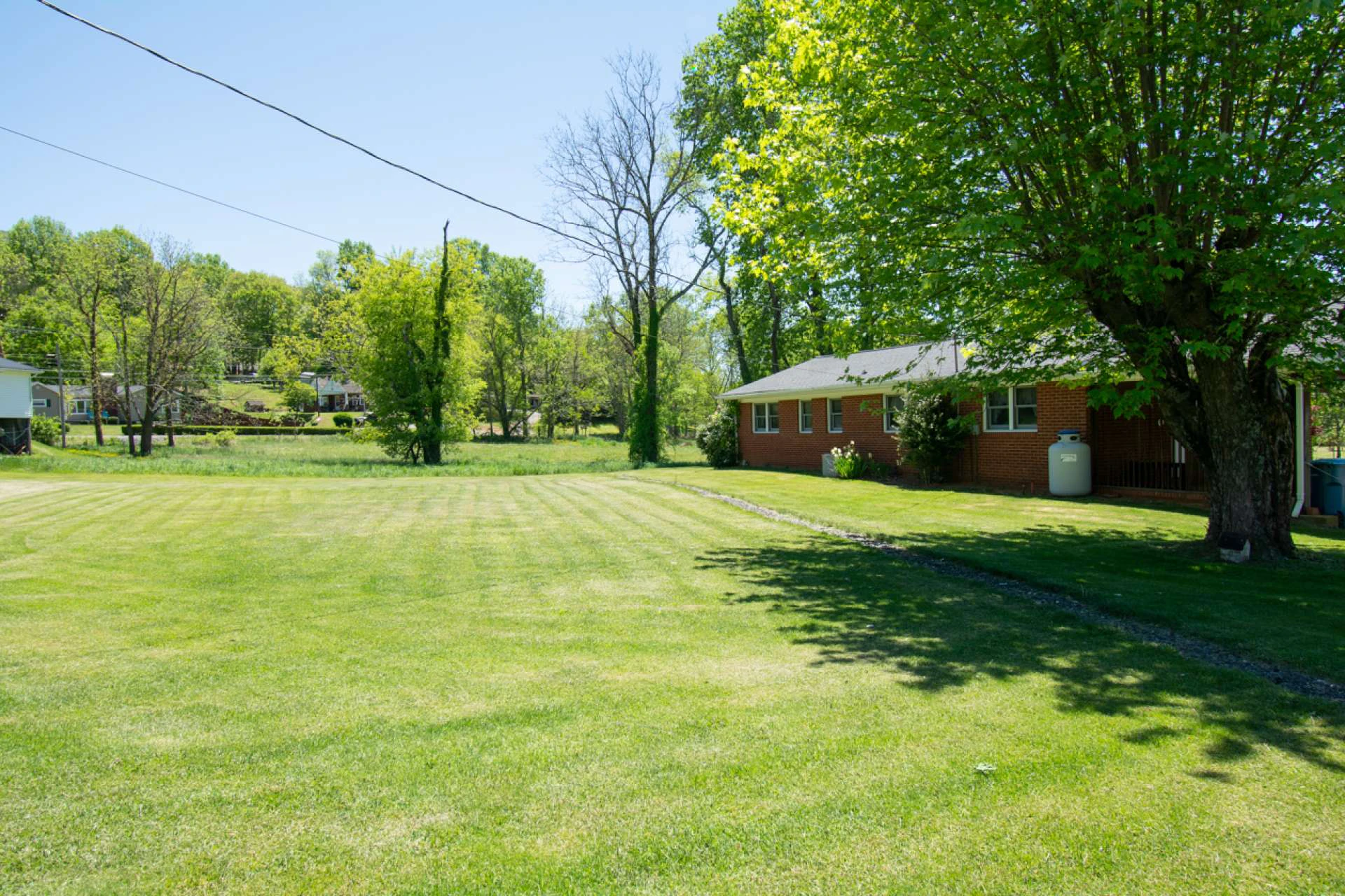 Image number 12 for the current listing