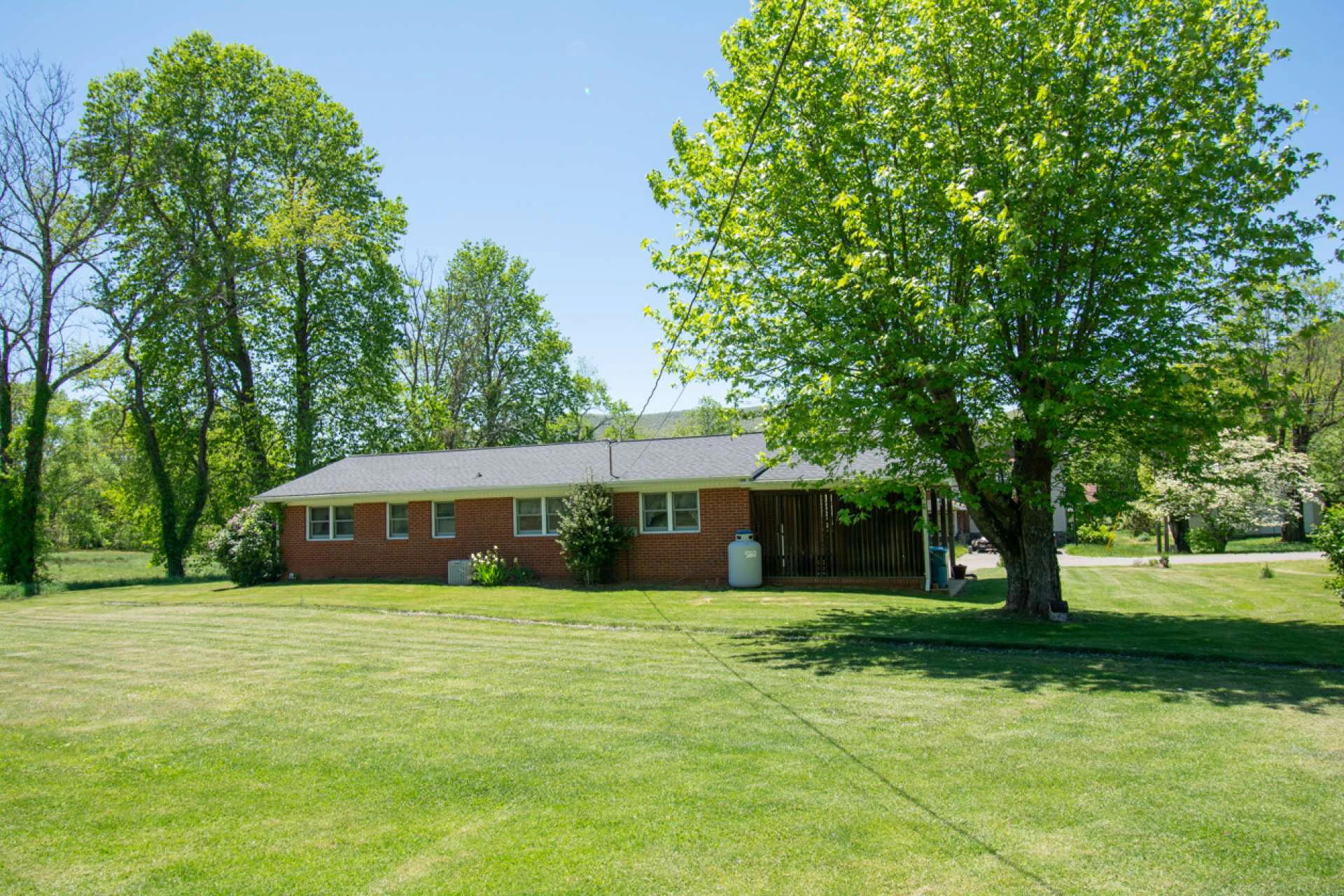 Image number 7 for the current listing