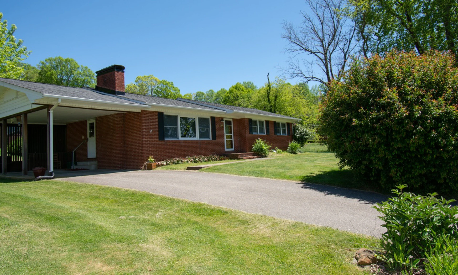 Image number 1 for the current listing