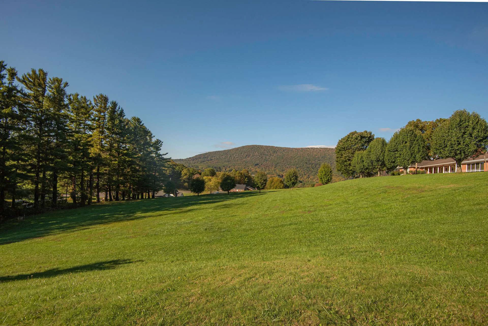 Image number 11 for the current listing
