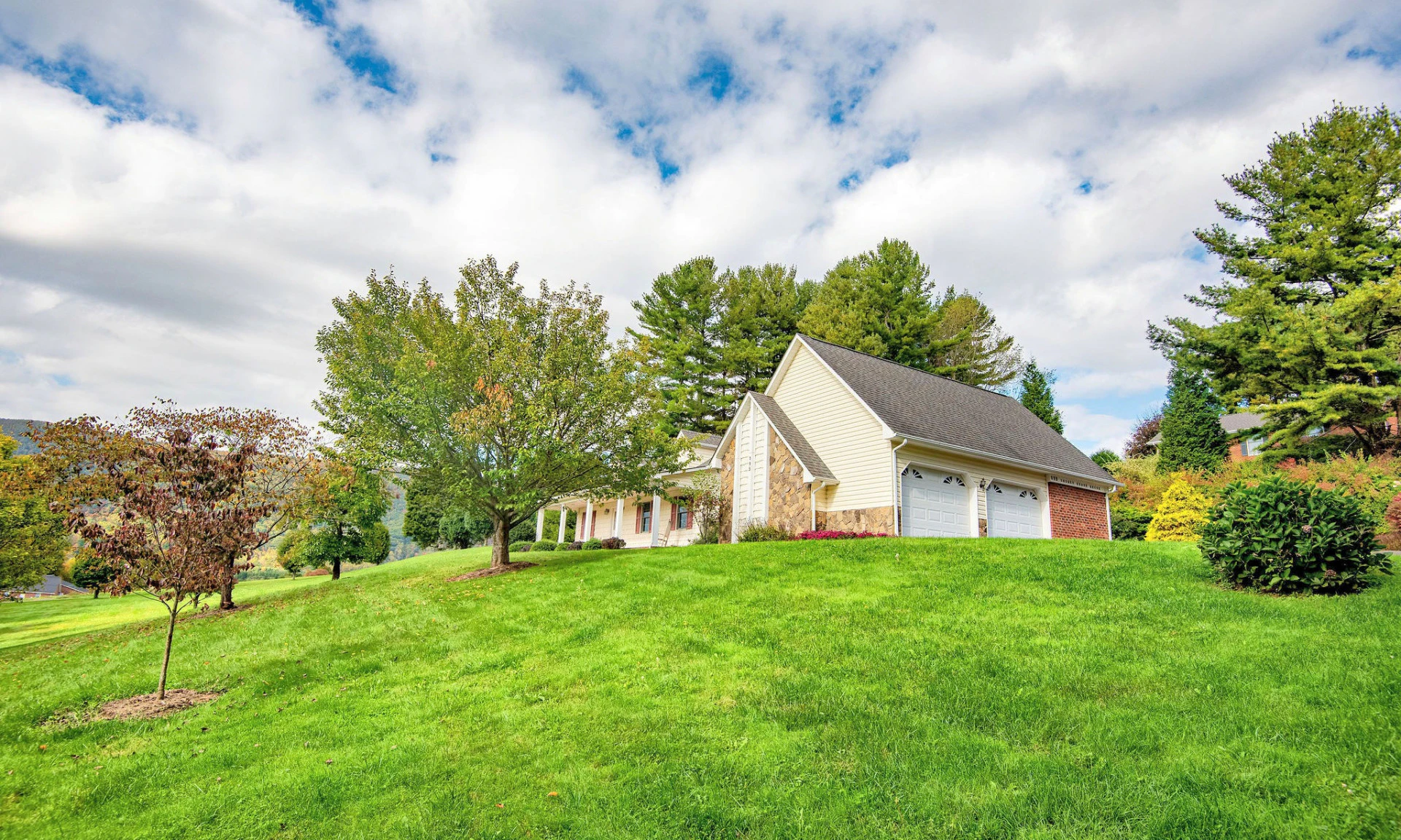 Image number 1 for the current listing