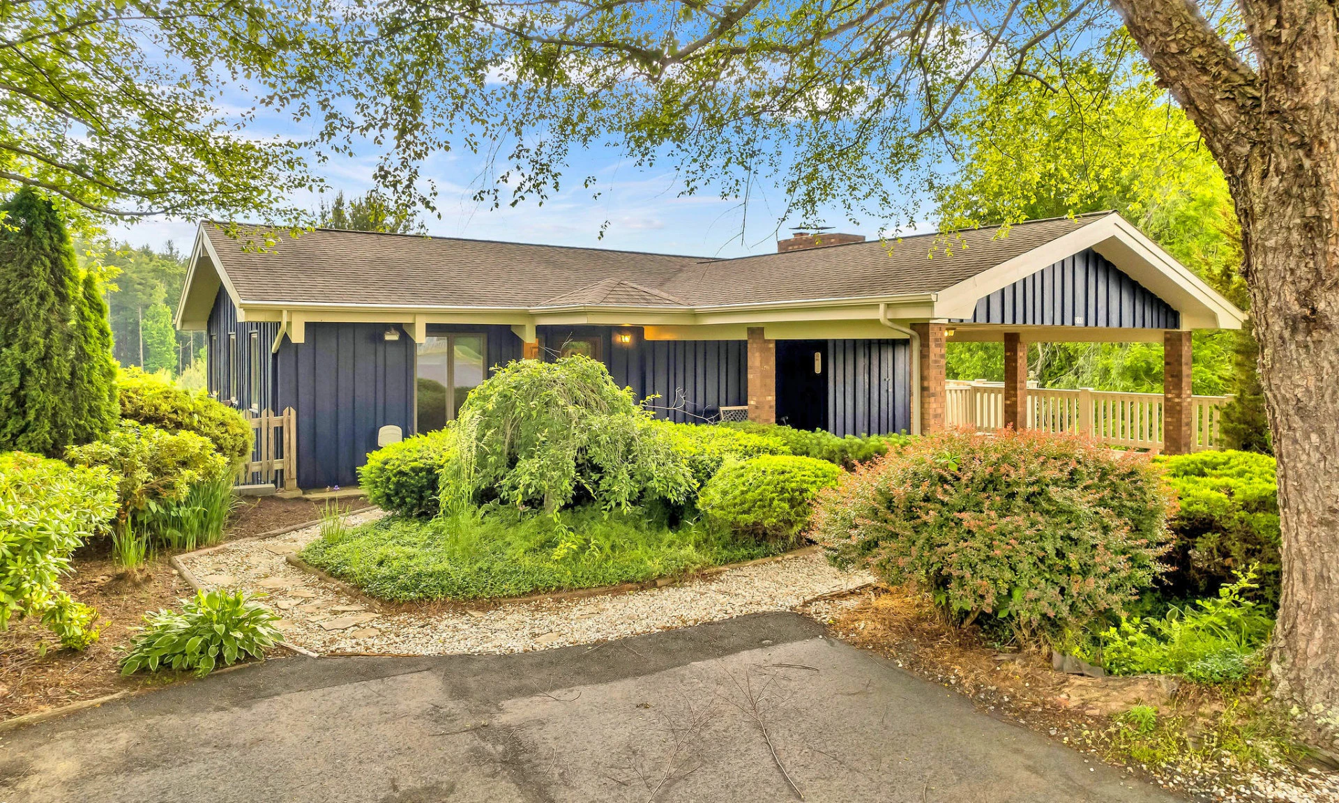 Image number 1 for the current listing
