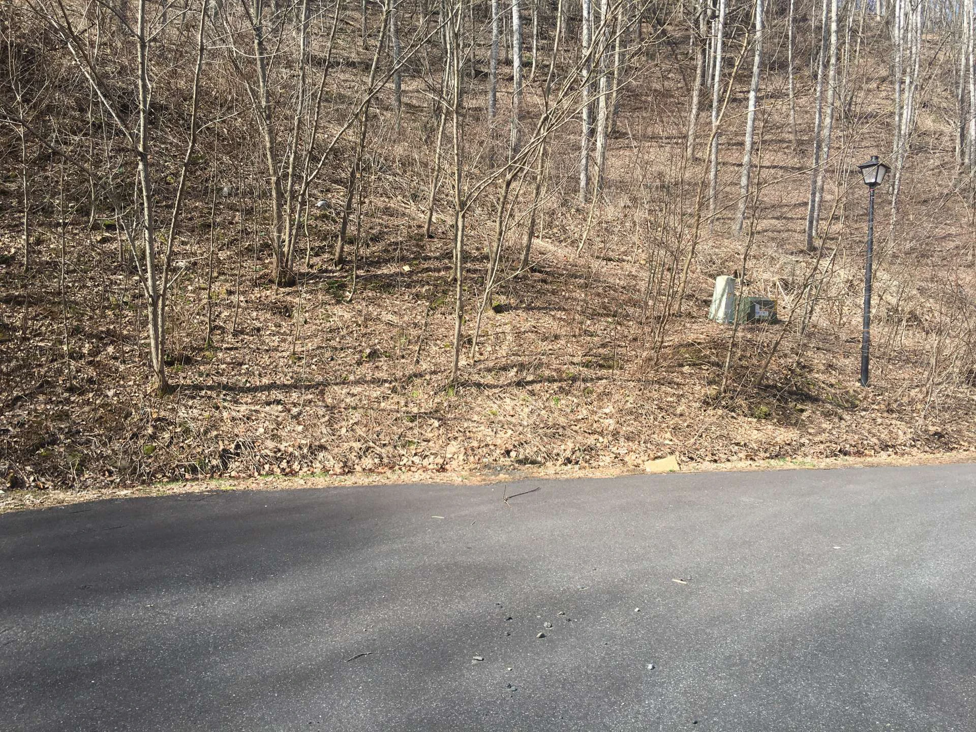 Image number 3 for the current listing