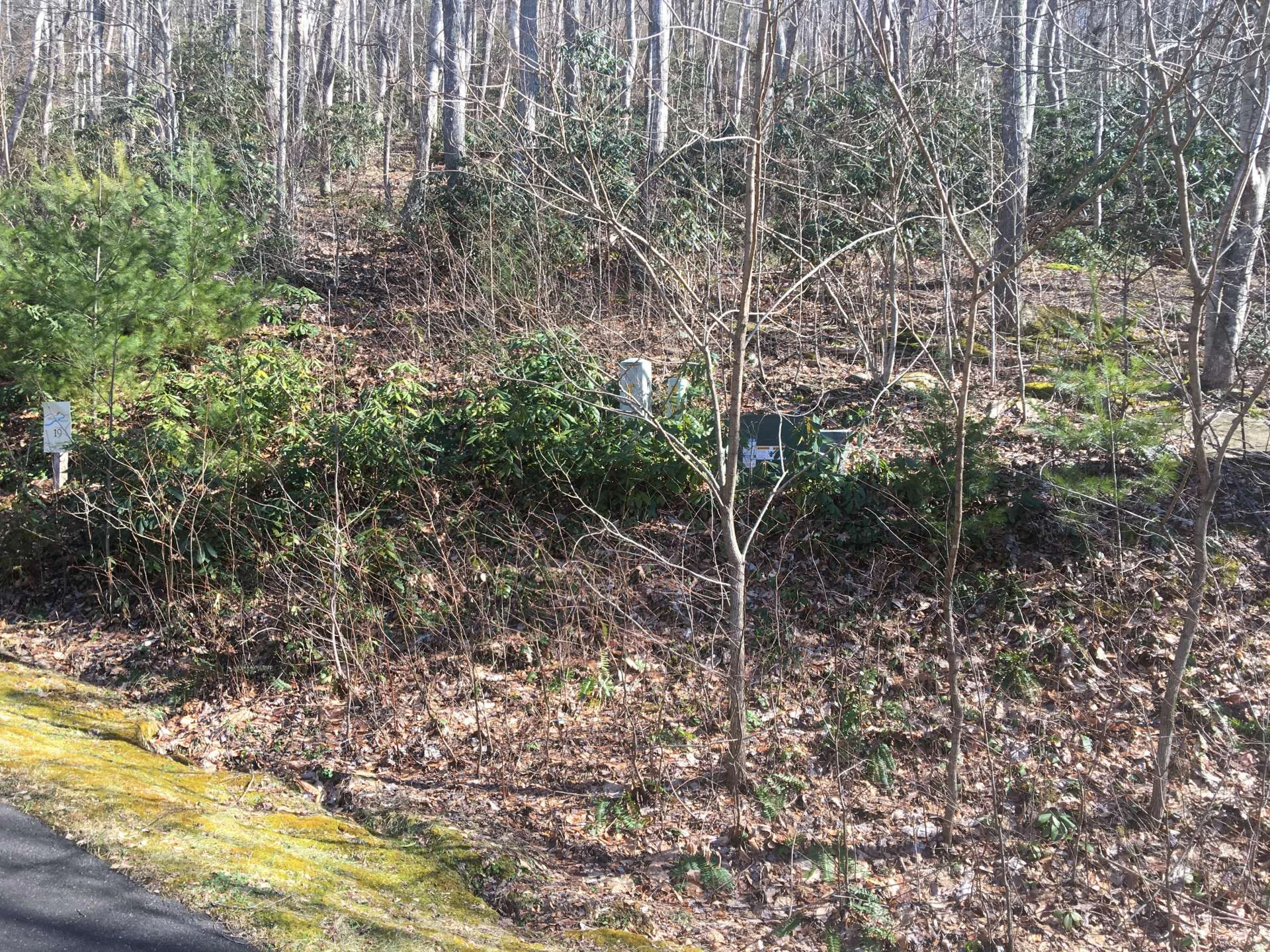 Image number 2 for the current listing