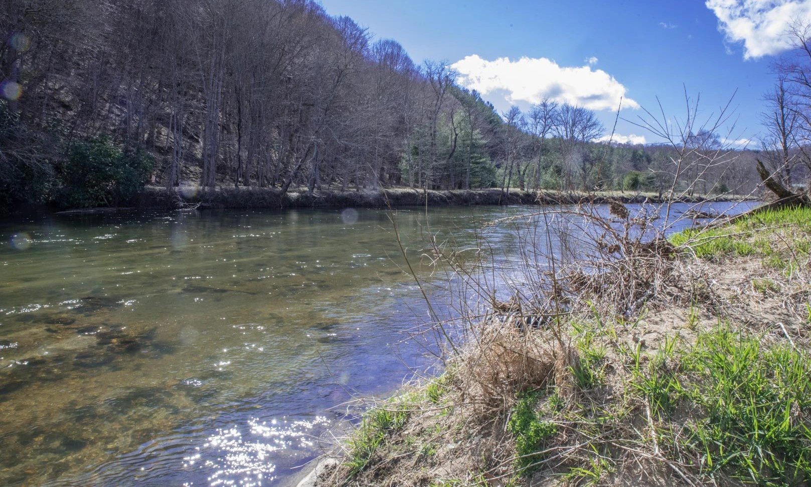 Image number 1 for the current listing