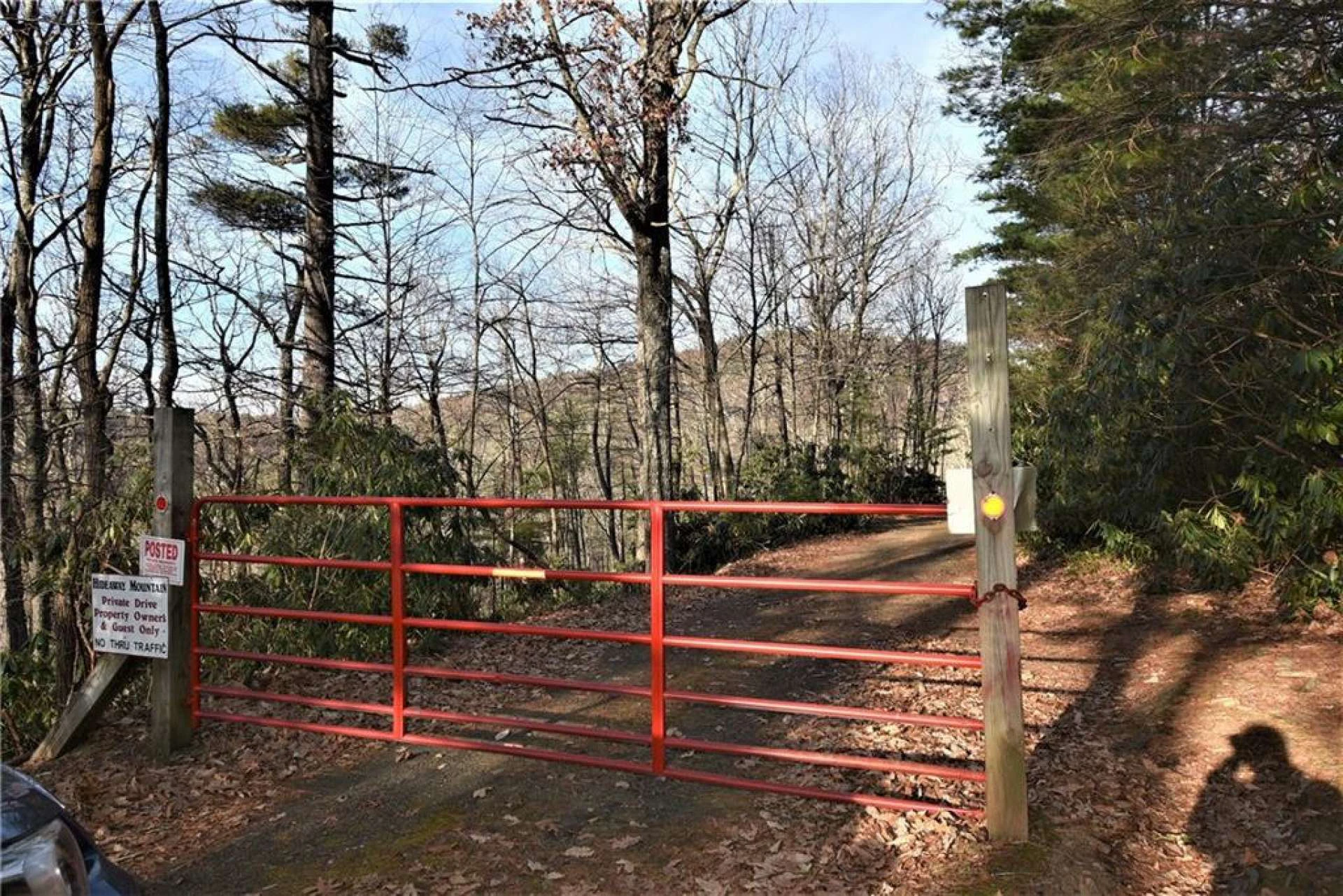 Image number 3 for the current listing