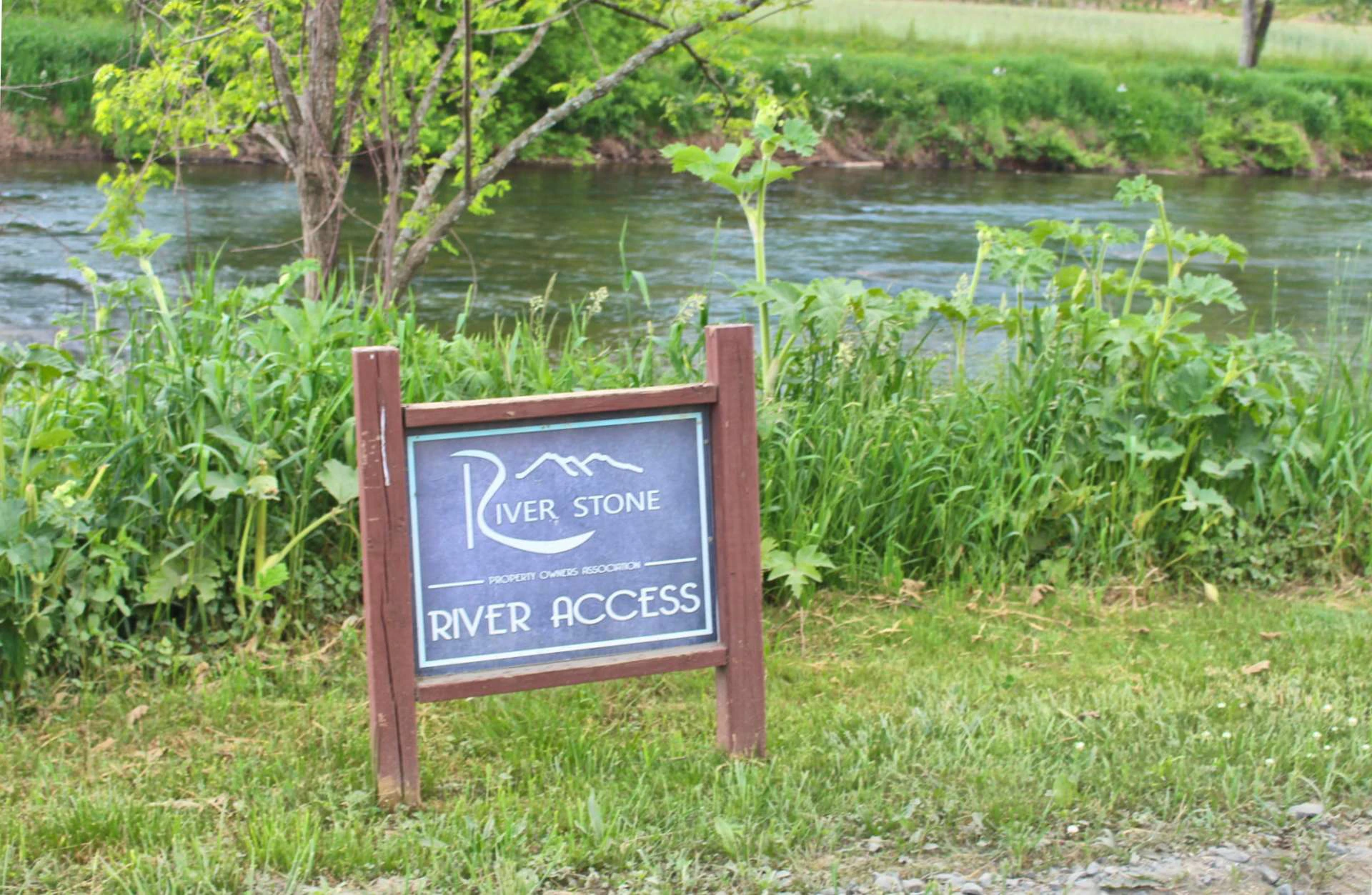 Image number 2 for the current listing