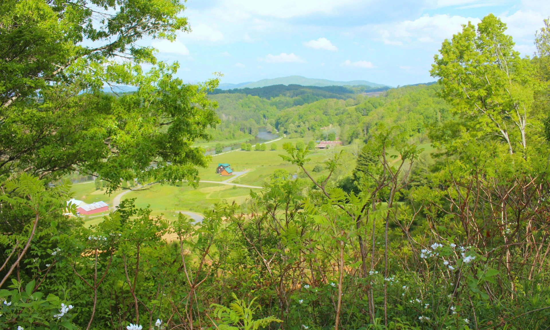 Image number 1 for the current listing