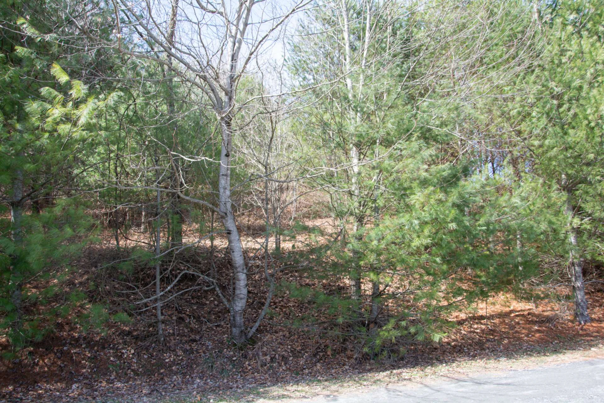 Image number 2 for the current listing