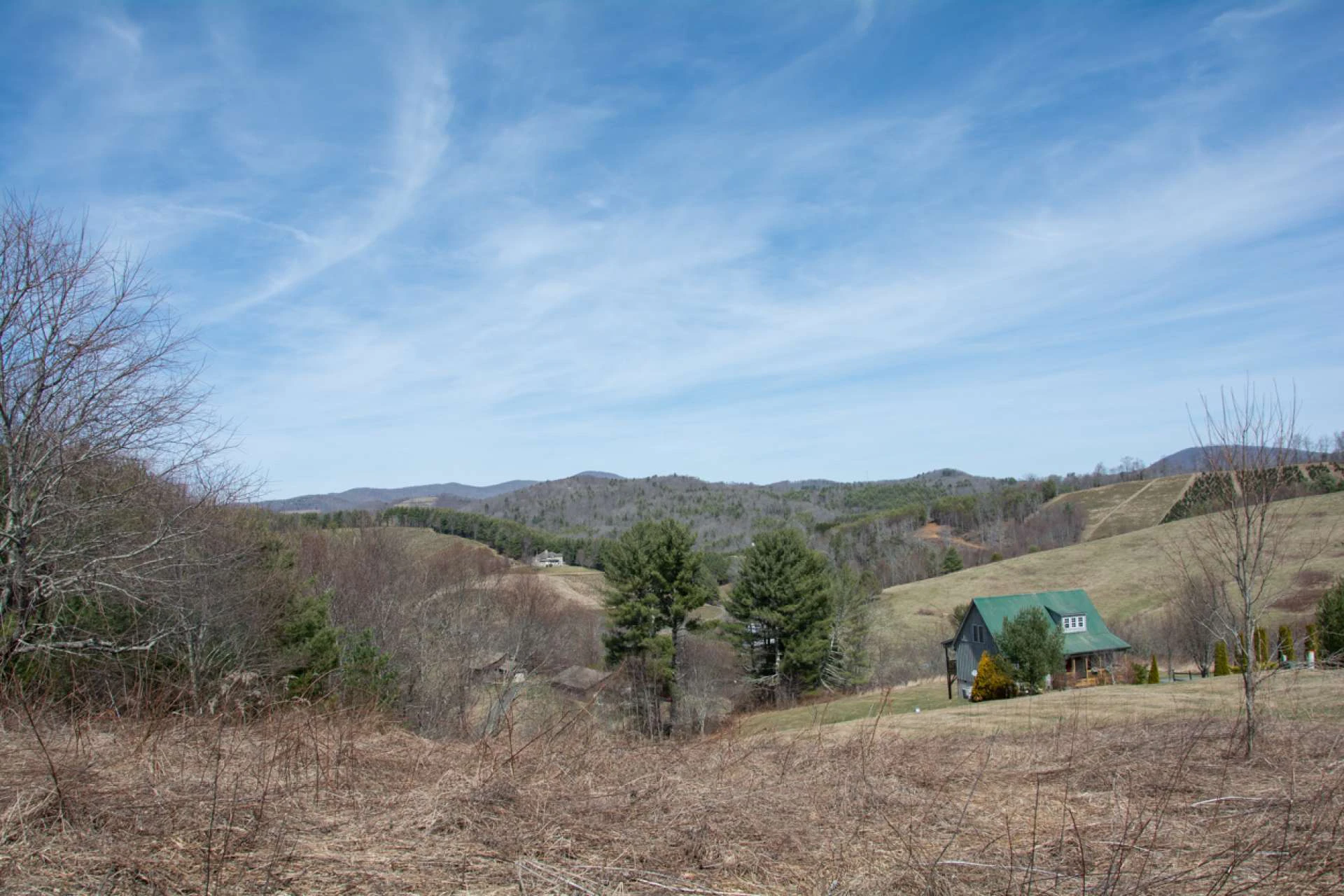 Image number 3 for the current listing