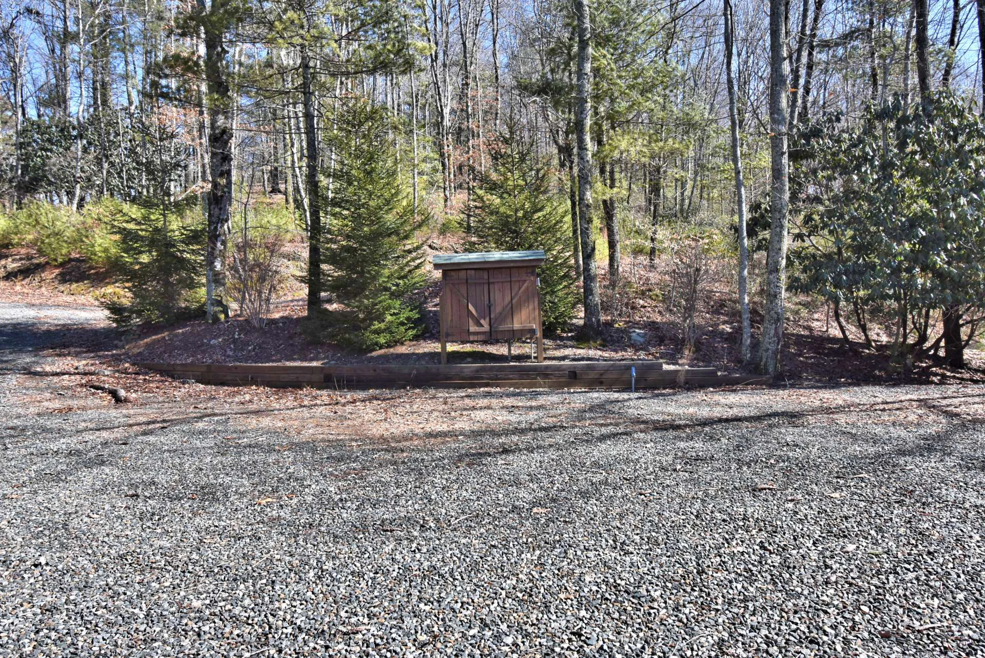 Image number 5 for the current listing