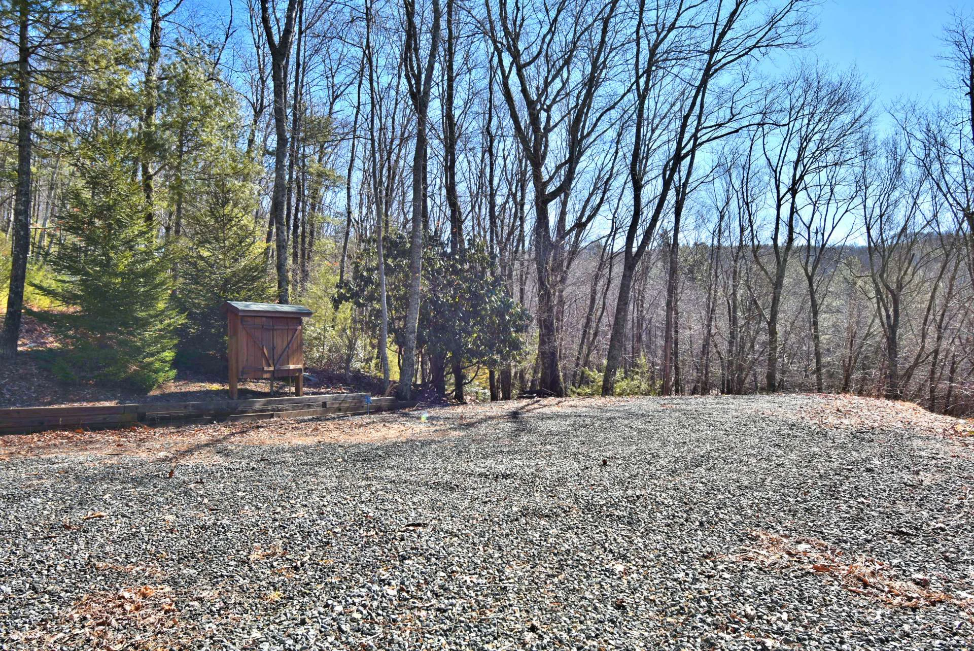 Image number 7 for the current listing