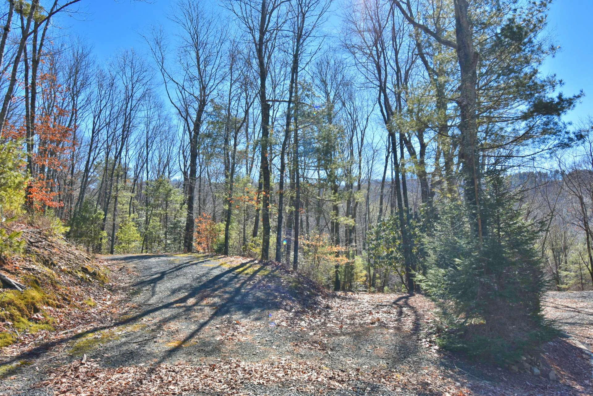 Image number 2 for the current listing